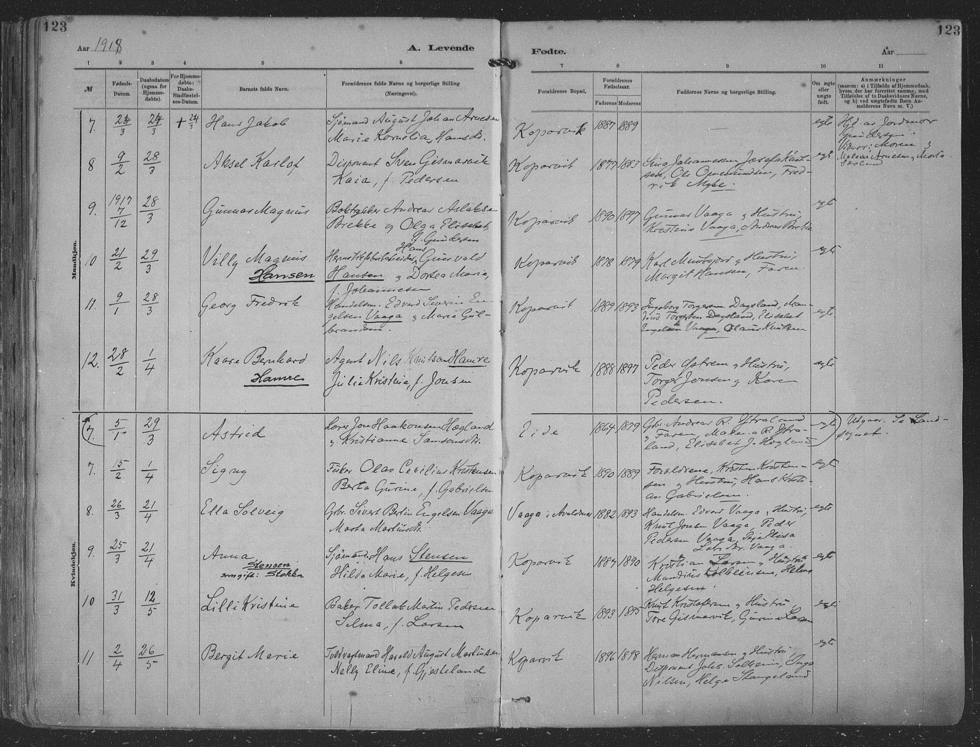 Kopervik sokneprestkontor, AV/SAST-A-101850/H/Ha/Haa/L0001: Parish register (official) no. A 1, 1880-1919, p. 123