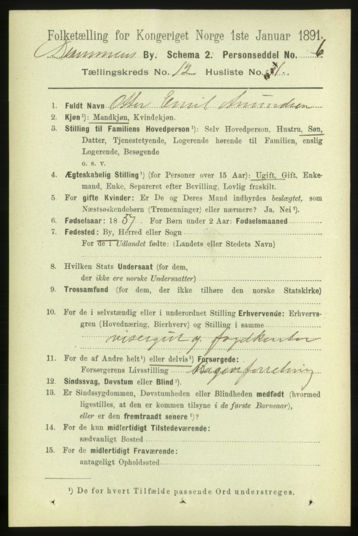 RA, 1891 census for 0602 Drammen, 1891, p. 8965