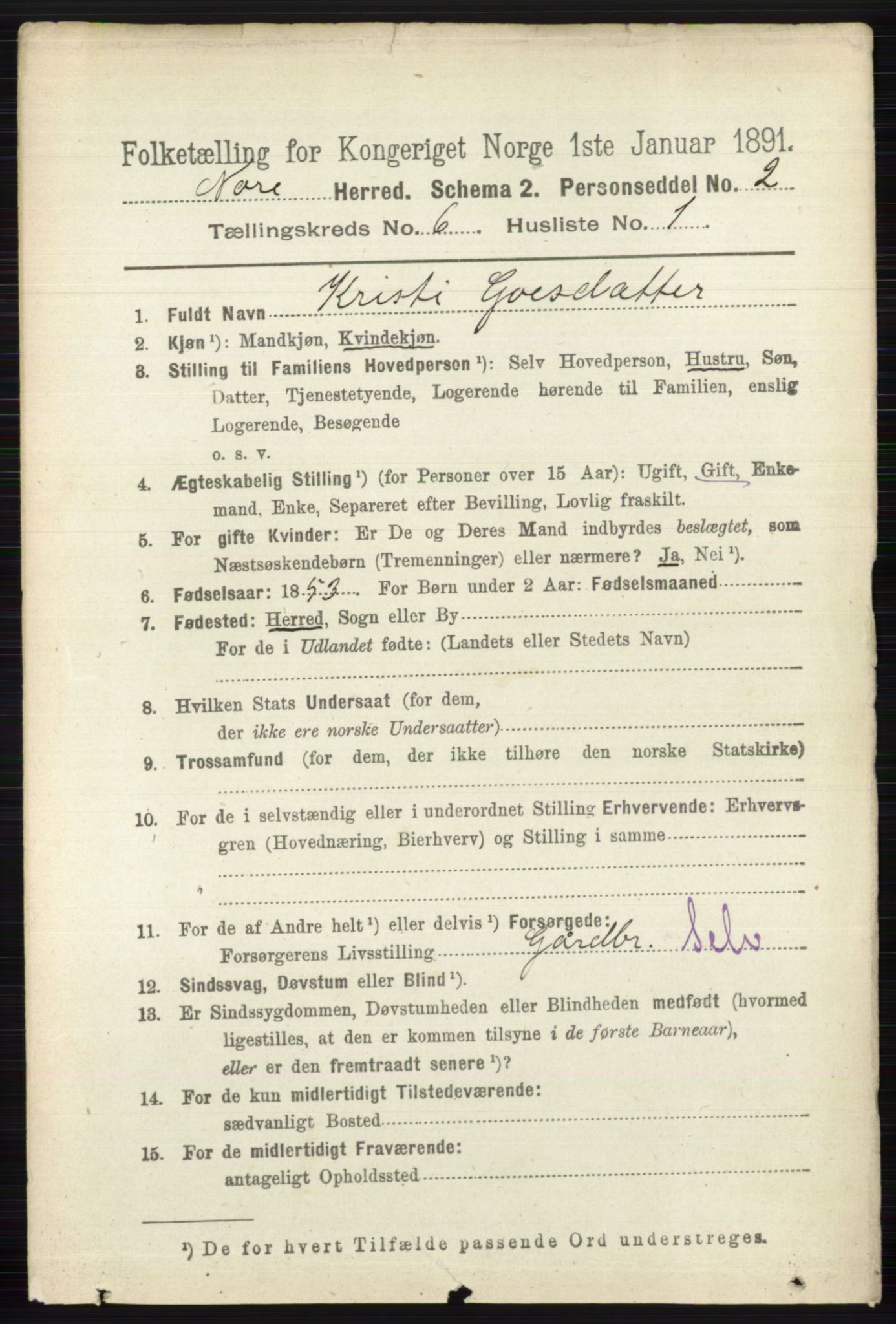 RA, 1891 census for 0633 Nore, 1891, p. 1966