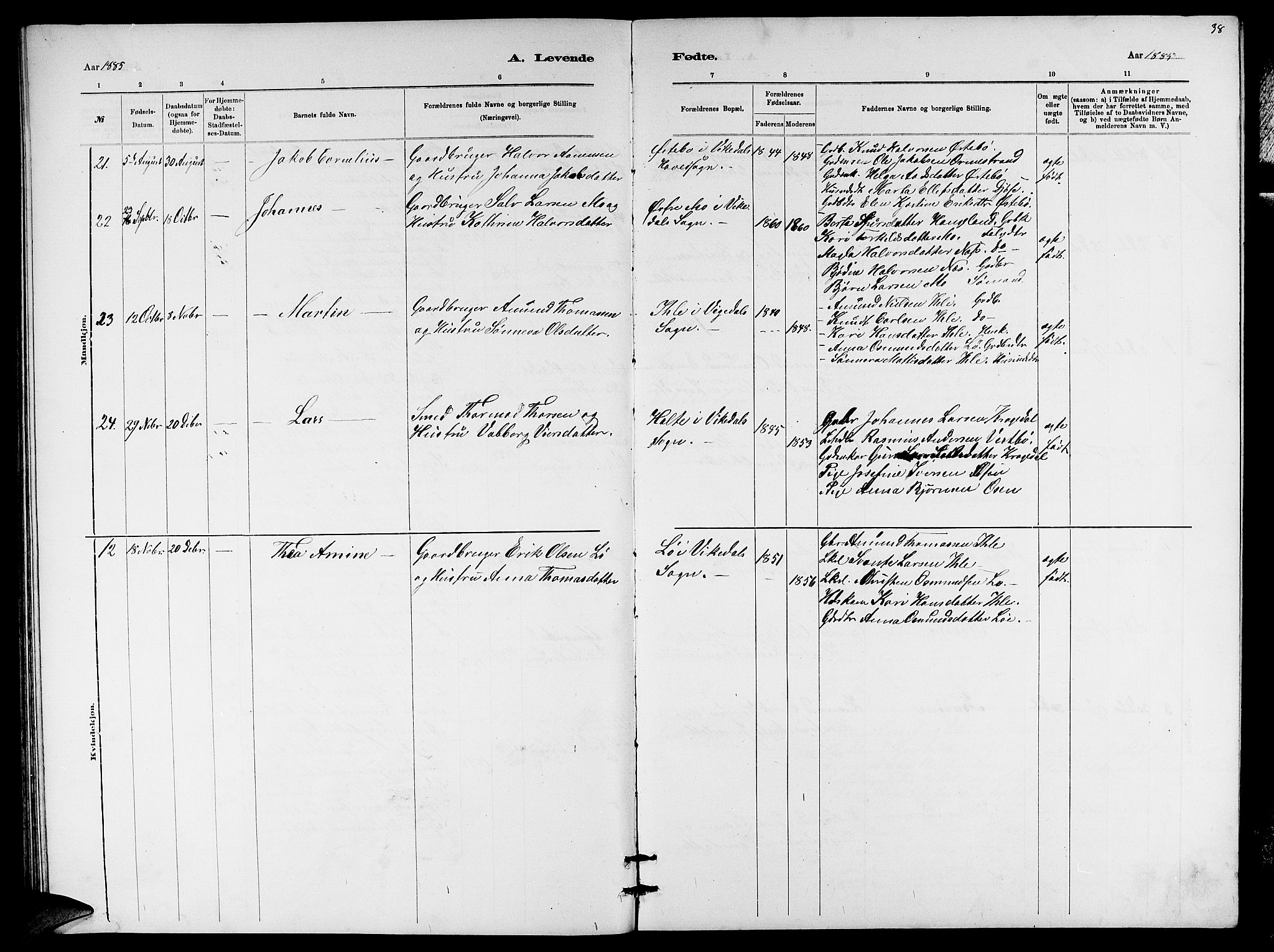 Vikedal sokneprestkontor, AV/SAST-A-101840/01/V: Parish register (copy) no. B 5, 1878-1888, p. 38