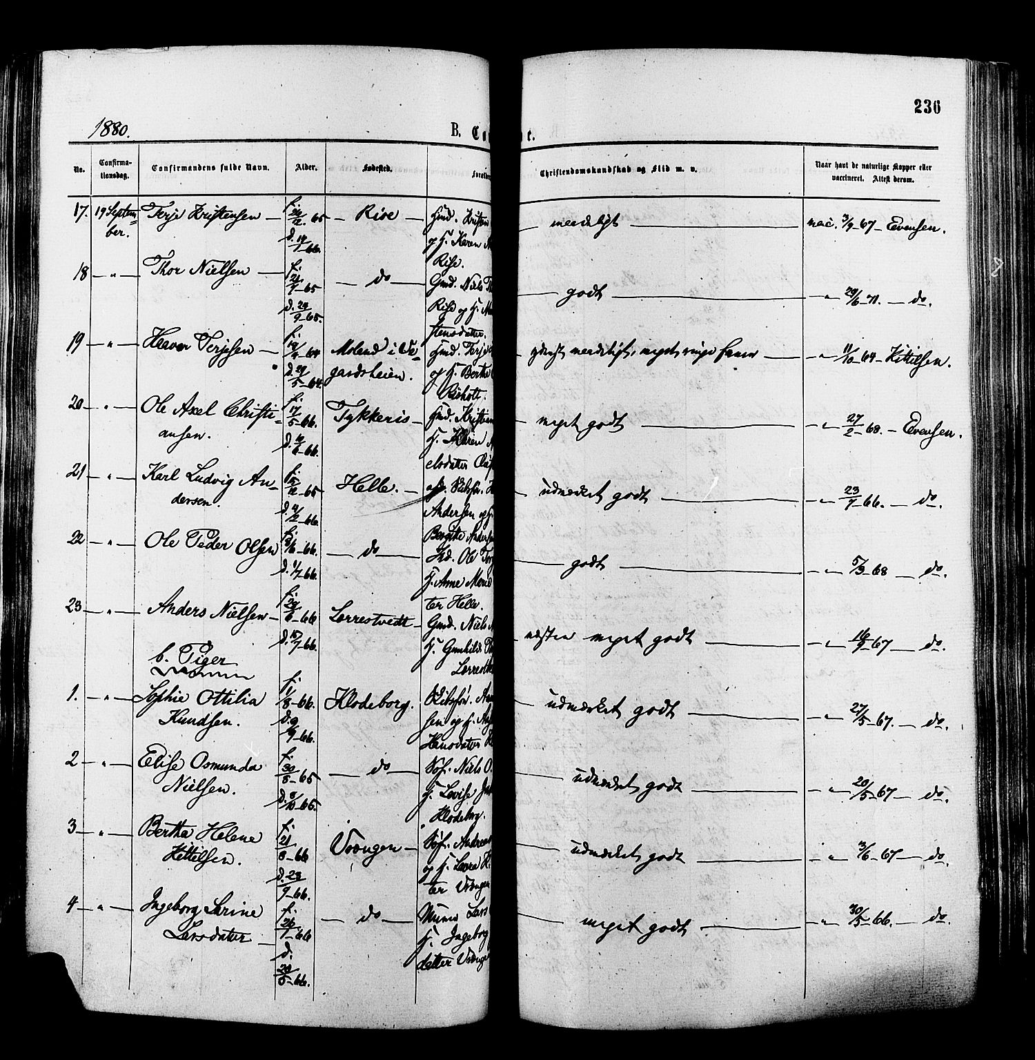 Øyestad sokneprestkontor, AV/SAK-1111-0049/F/Fa/L0016: Parish register (official) no. A 16, 1874-1886, p. 236