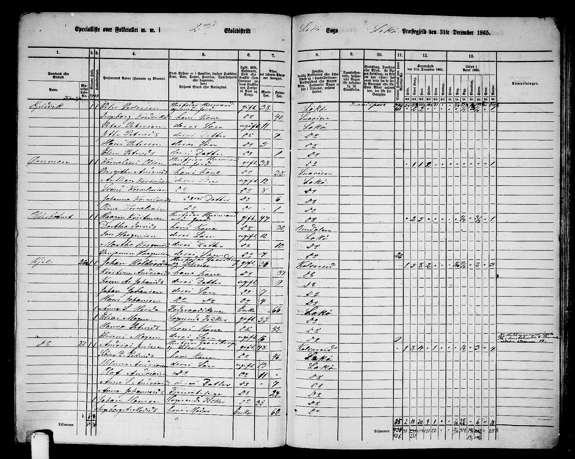 RA, 1865 census for Leka, 1865, p. 20