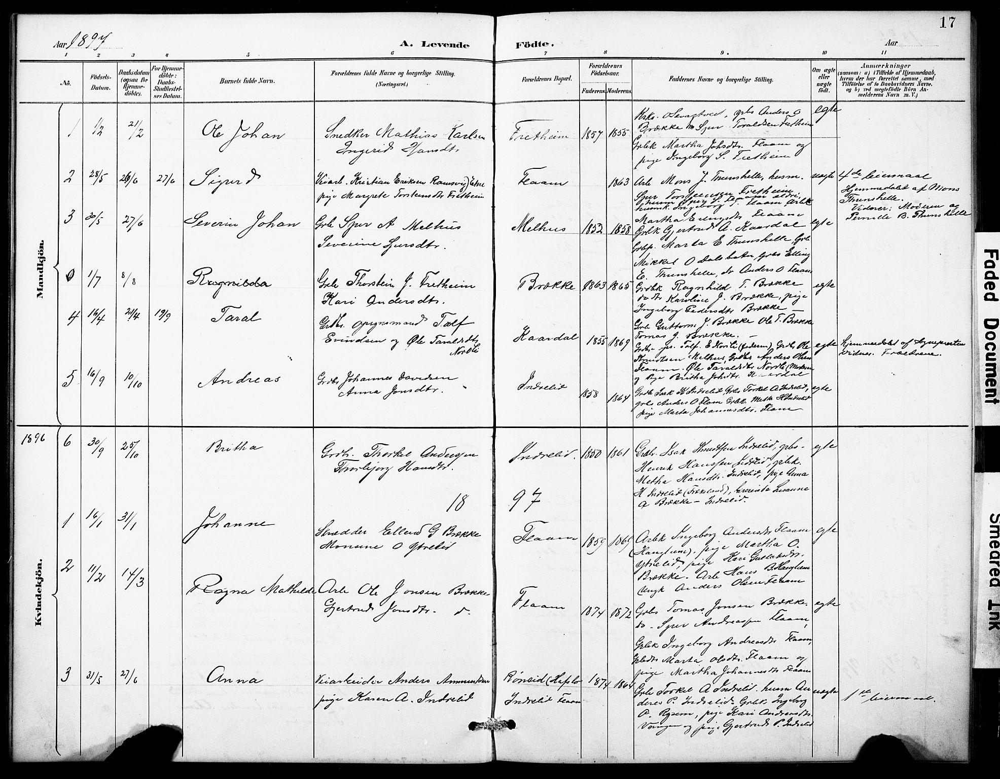 Aurland sokneprestembete, SAB/A-99937/H/Hb/Hbb/L0002: Parish register (copy) no. B 2, 1887-1929, p. 17