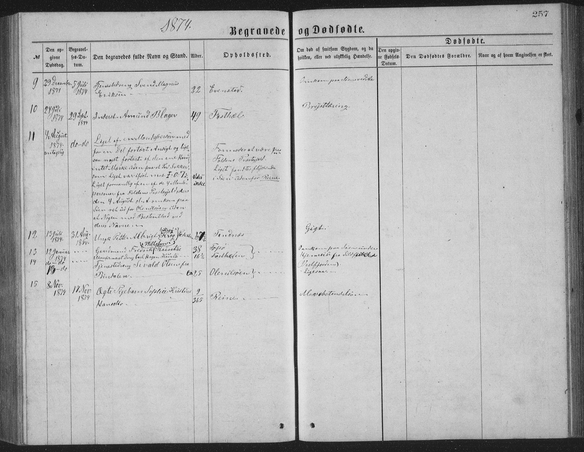 Ministerialprotokoller, klokkerbøker og fødselsregistre - Nordland, SAT/A-1459/886/L1225: Parish register (copy) no. 886C02, 1874-1896, p. 257