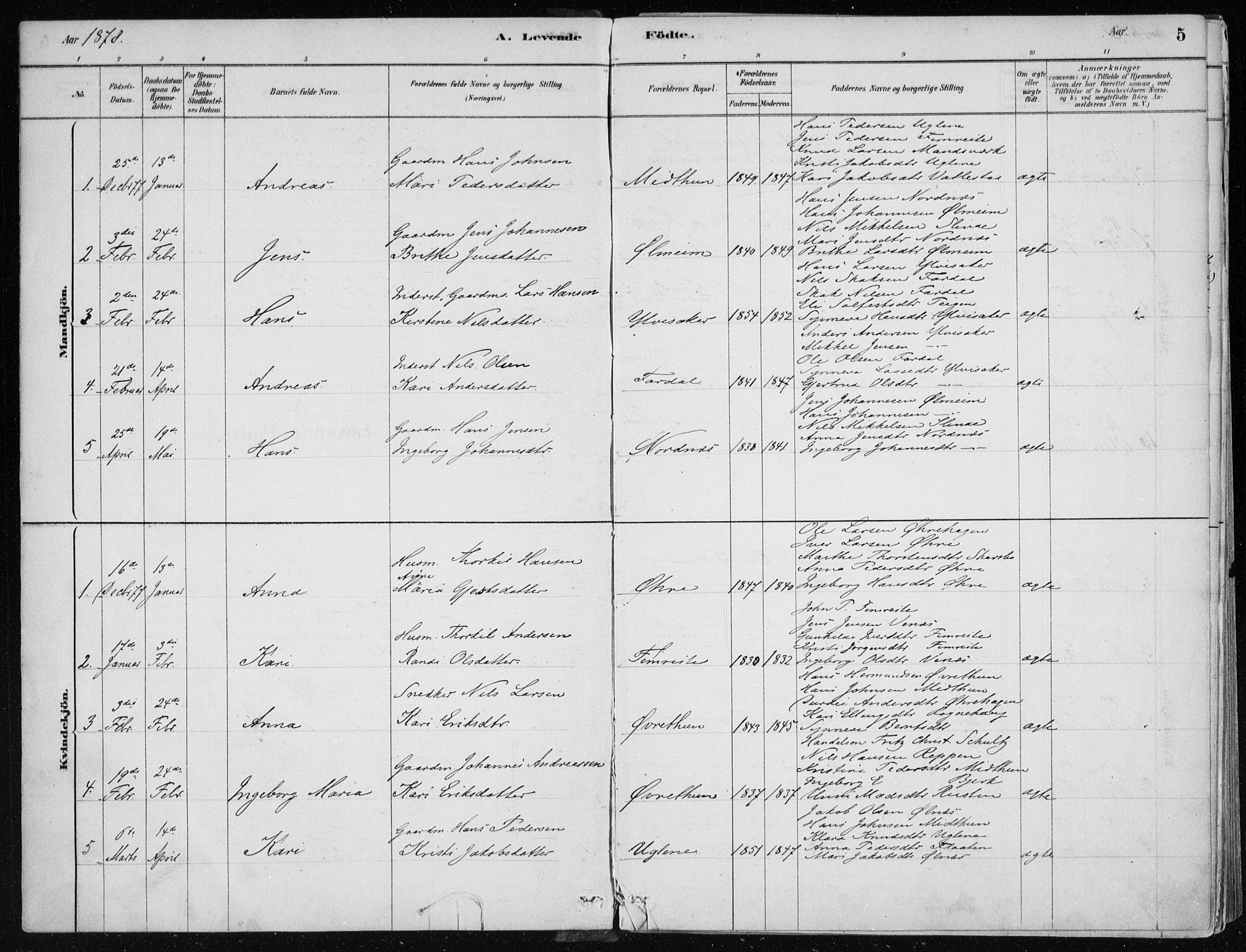 Sogndal sokneprestembete, SAB/A-81301/H/Haa/Haac/L0001: Parish register (official) no. C 1, 1878-1907, p. 5