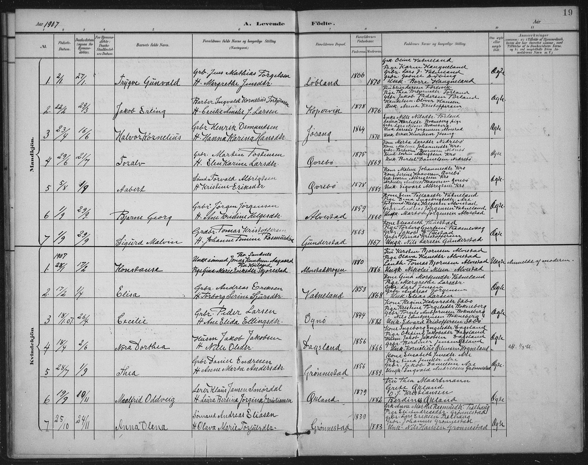 Tysvær sokneprestkontor, AV/SAST-A -101864/H/Ha/Haa/L0009: Parish register (official) no. A 9, 1898-1925, p. 19