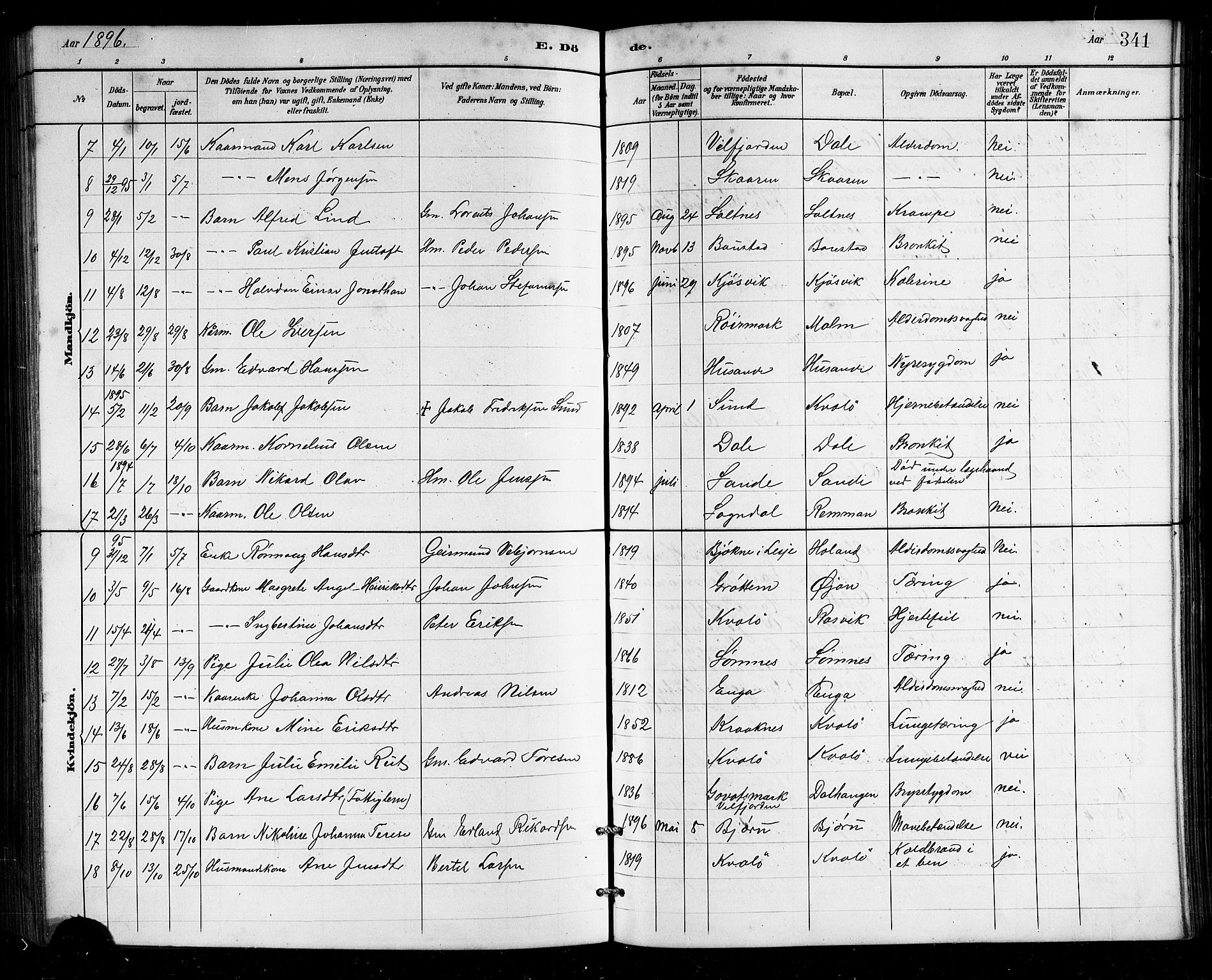 Ministerialprotokoller, klokkerbøker og fødselsregistre - Nordland, SAT/A-1459/812/L0188: Parish register (copy) no. 812C06, 1884-1912, p. 341
