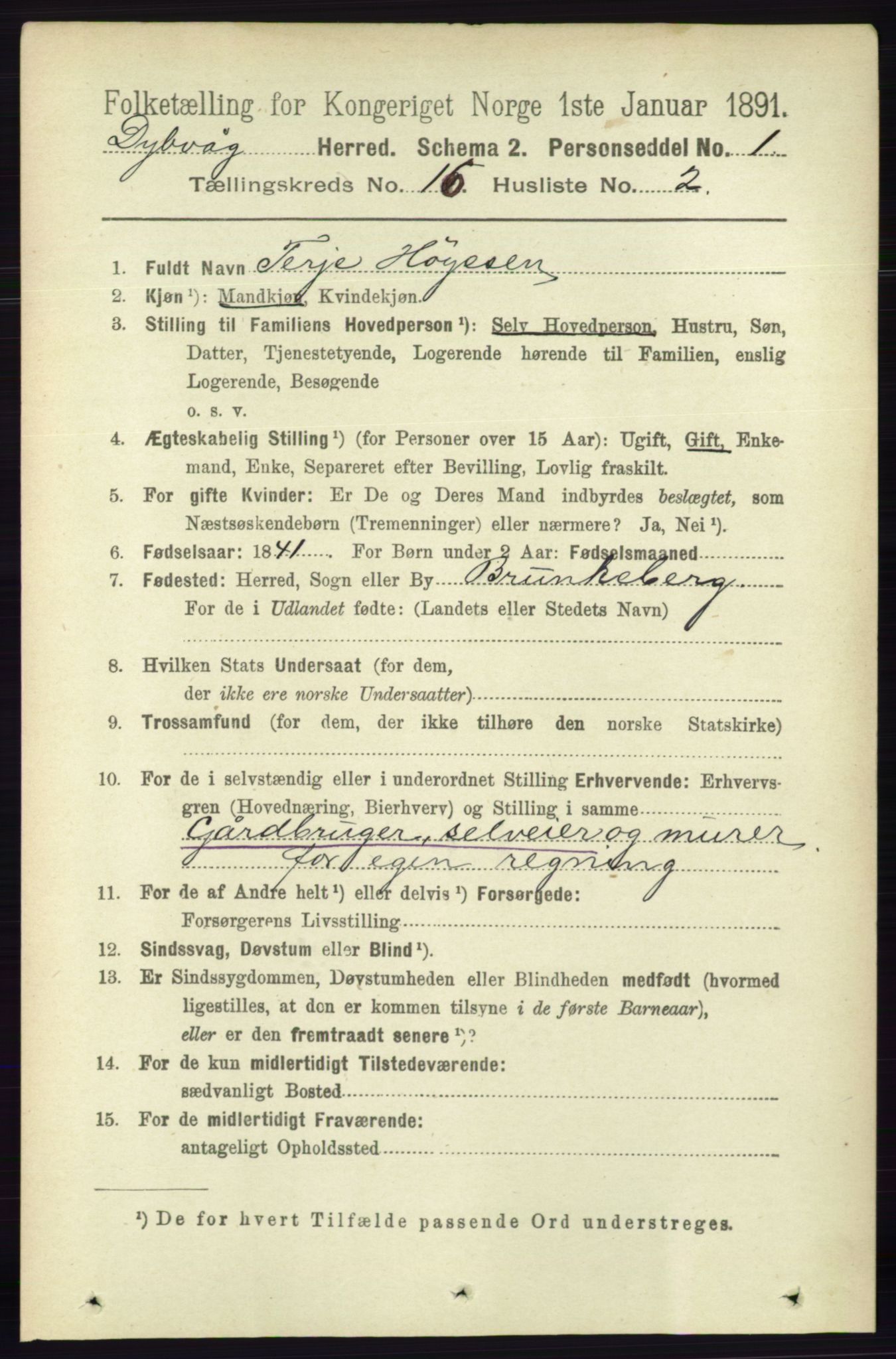 RA, 1891 census for 0915 Dypvåg, 1891, p. 6401