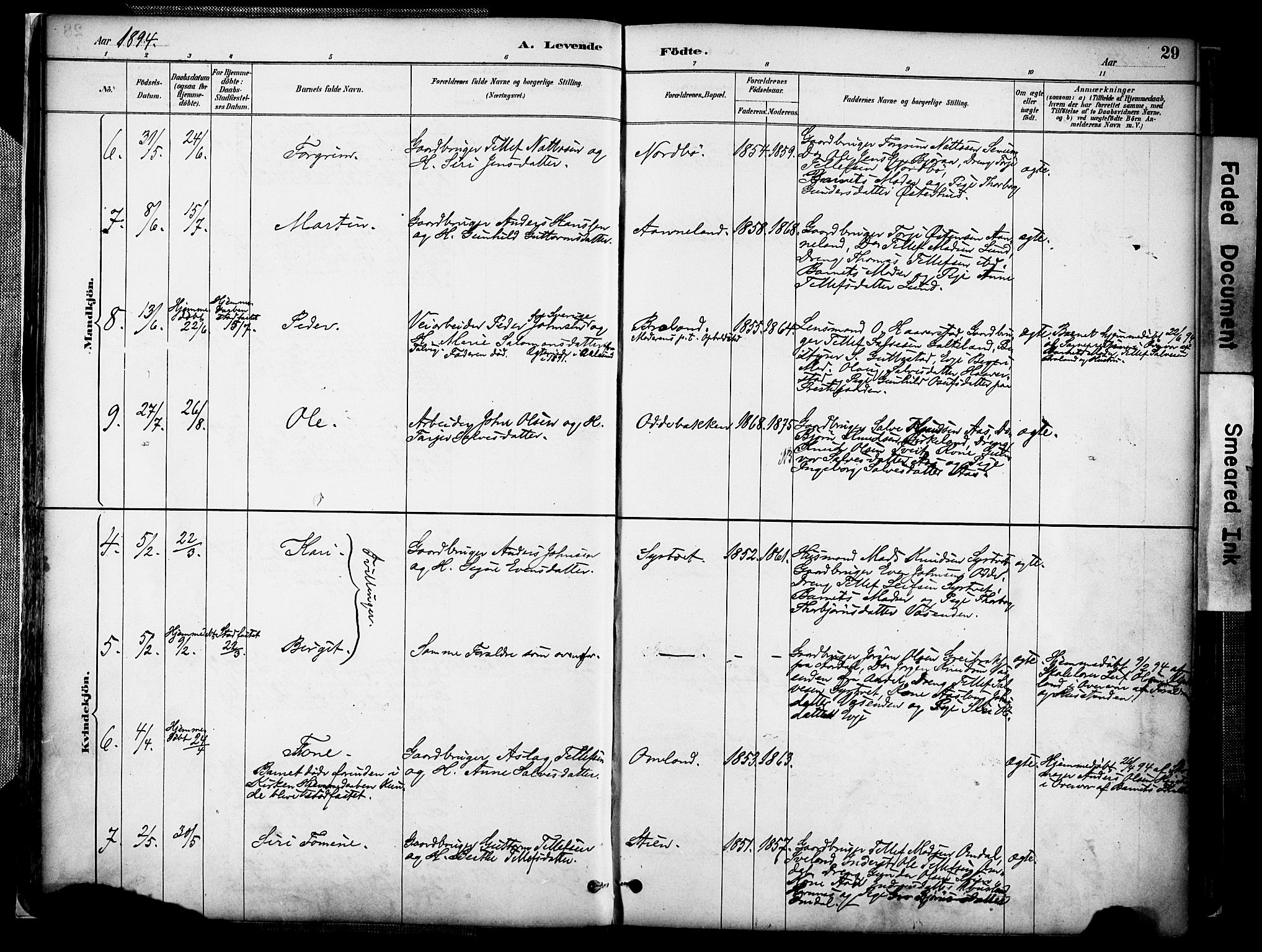 Evje sokneprestkontor, AV/SAK-1111-0008/F/Fa/Faa/L0007: Parish register (official) no. A 7, 1884-1909, p. 29