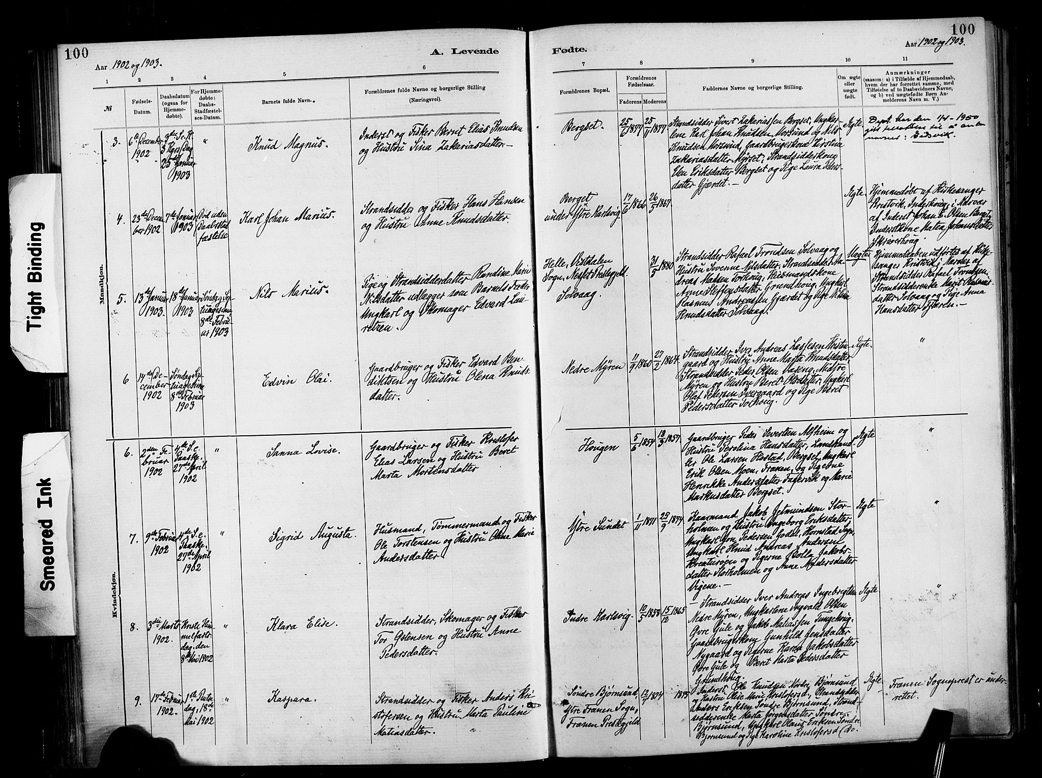 Ministerialprotokoller, klokkerbøker og fødselsregistre - Møre og Romsdal, SAT/A-1454/566/L0769: Parish register (official) no. 566A08, 1881-1903, p. 100