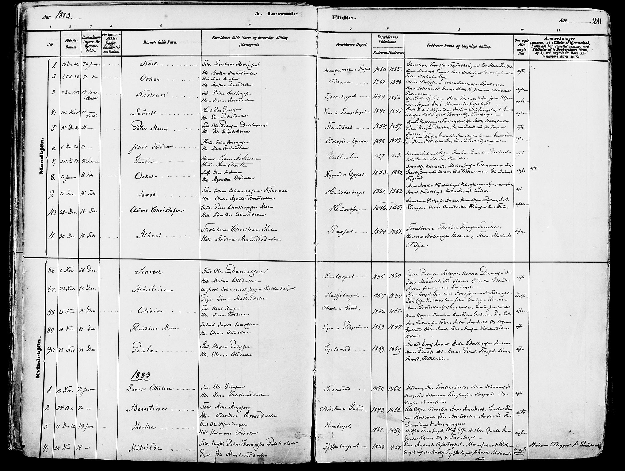 Grue prestekontor, SAH/PREST-036/H/Ha/Haa/L0012: Parish register (official) no. 12, 1881-1897, p. 20