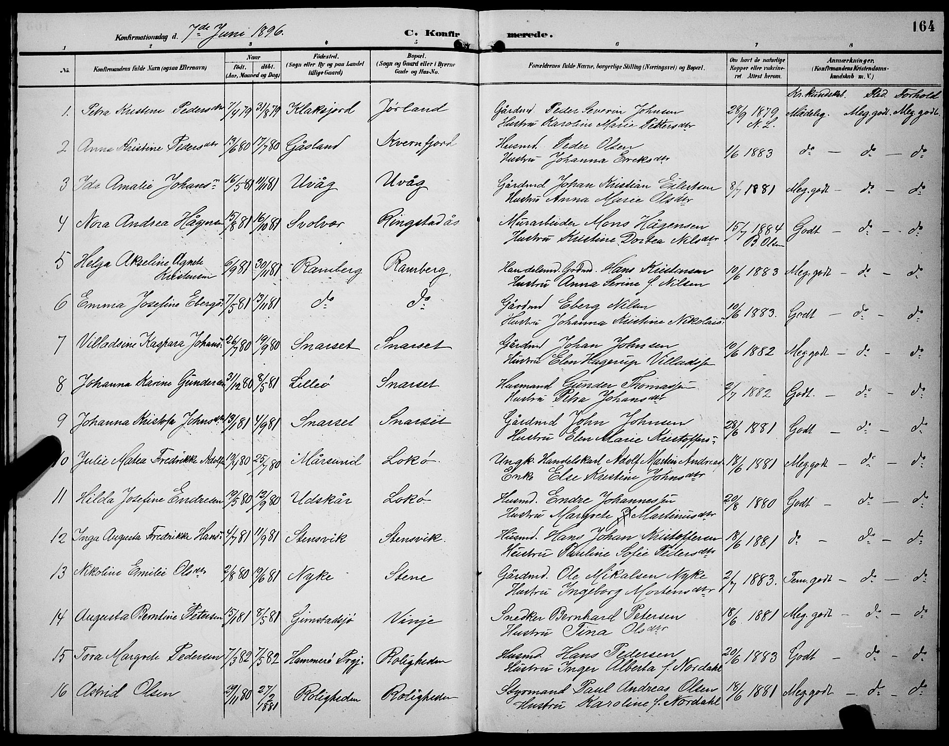 Ministerialprotokoller, klokkerbøker og fødselsregistre - Nordland, SAT/A-1459/891/L1316: Parish register (copy) no. 891C05, 1894-1898, p. 164