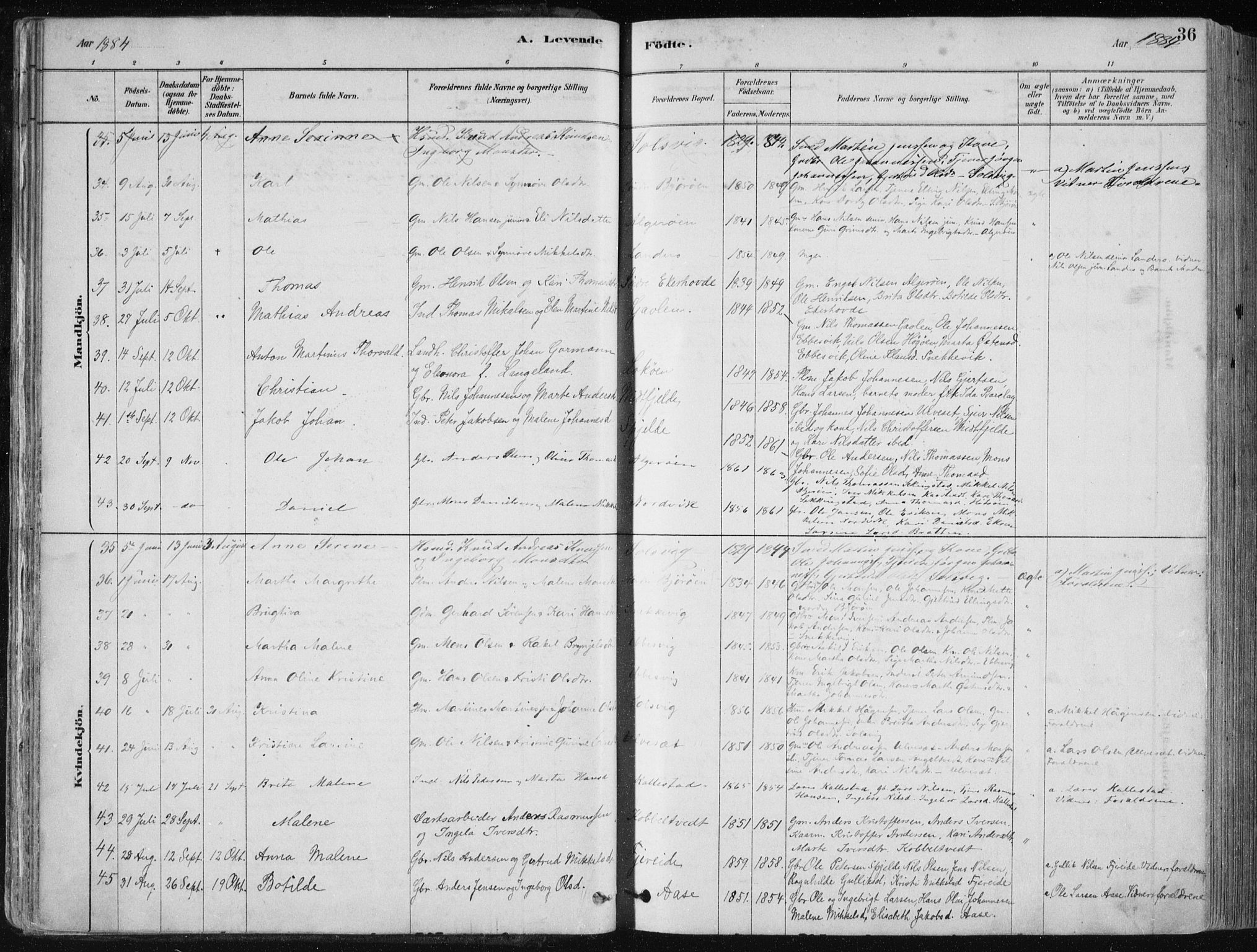 Fjell sokneprestembete, SAB/A-75301/H/Haa: Parish register (official) no. A  8, 1878-1898, p. 36