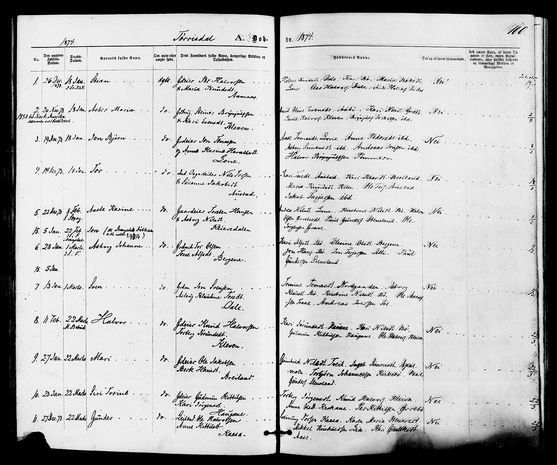 Drangedal kirkebøker, SAKO/A-258/F/Fa/L0009: Parish register (official) no. 9 /2, 1872-1884, p. 100