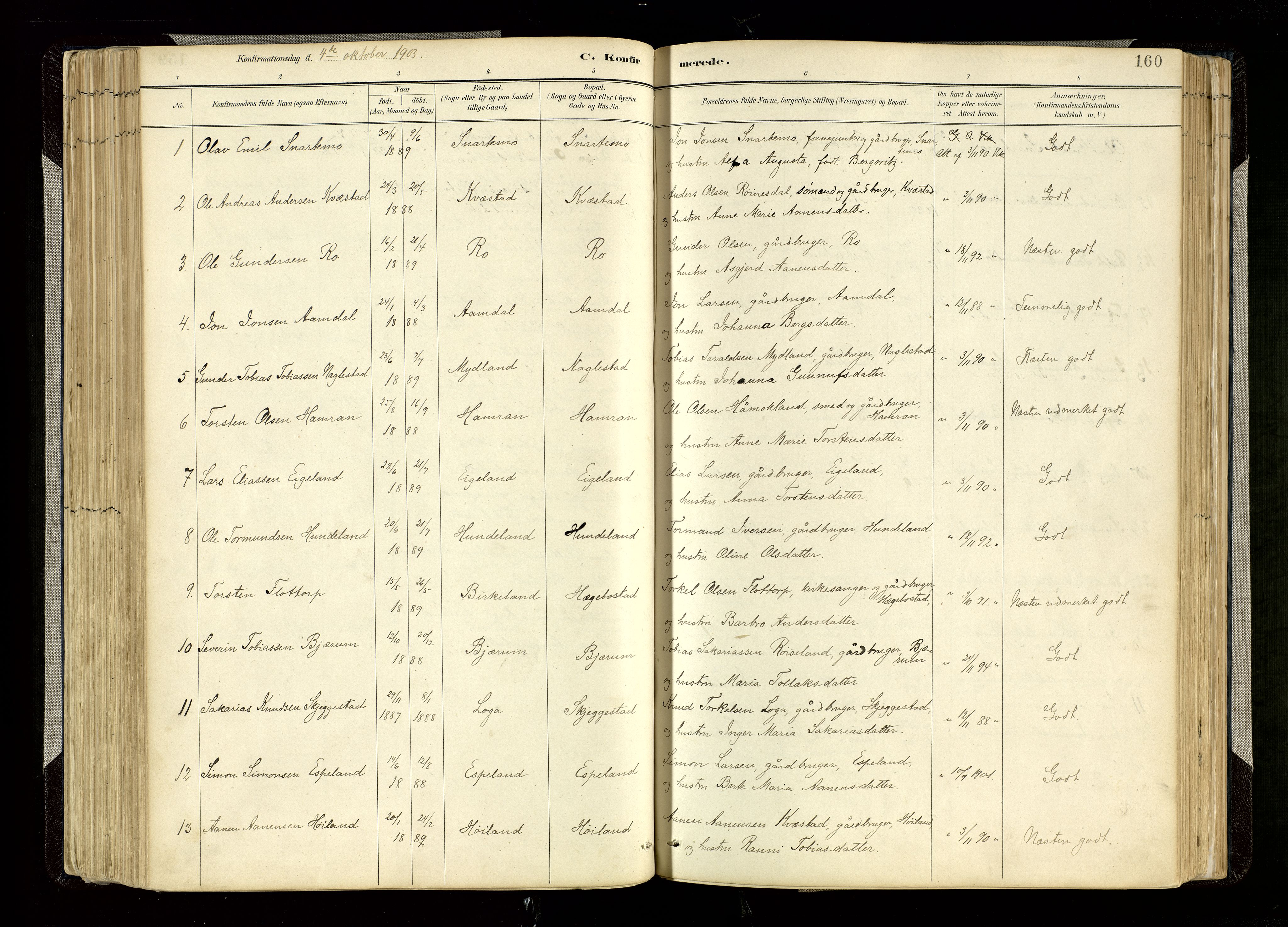 Hægebostad sokneprestkontor, SAK/1111-0024/F/Fa/Faa/L0006: Parish register (official) no. A 6, 1887-1929, p. 160