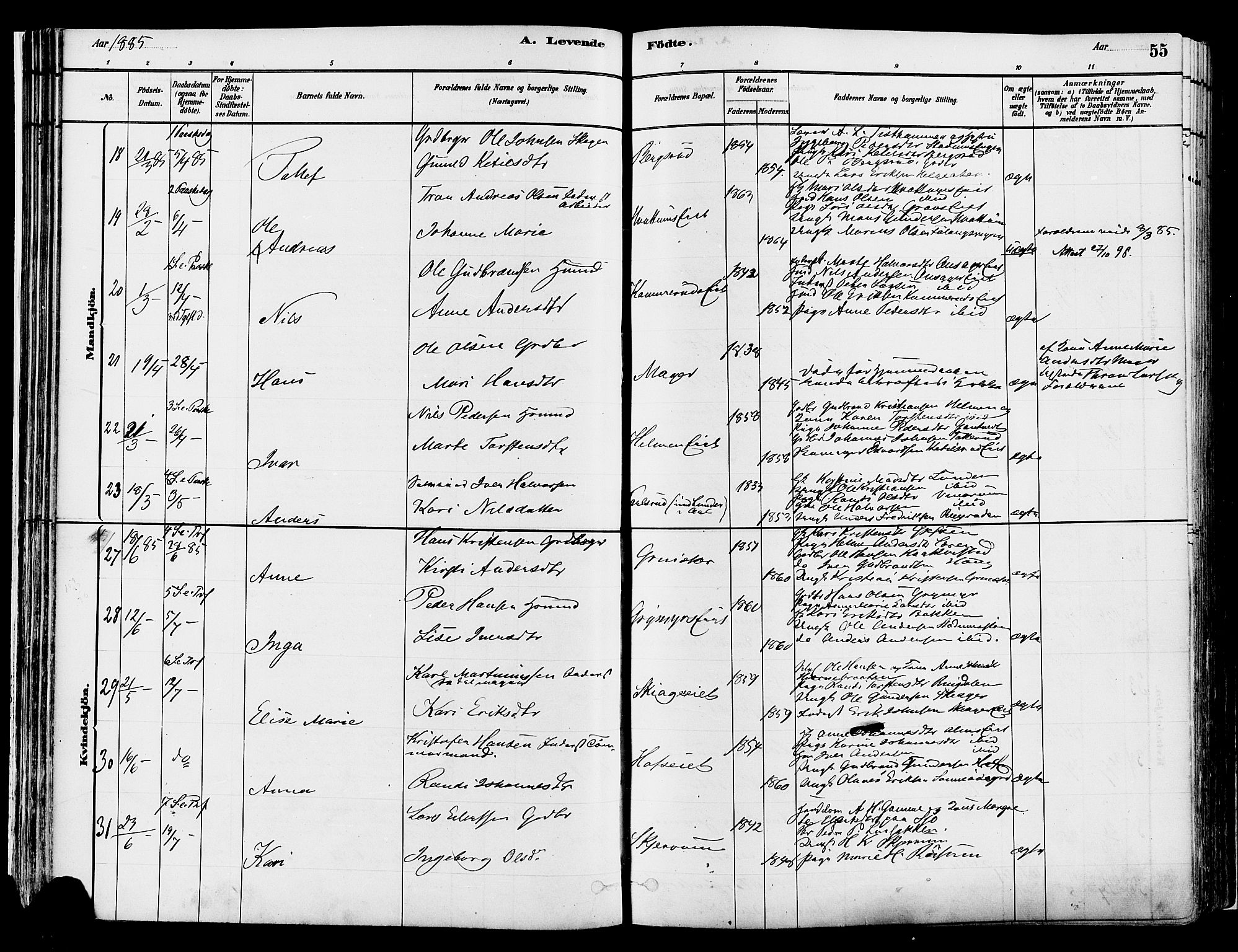 Gran prestekontor, AV/SAH-PREST-112/H/Ha/Haa/L0014: Parish register (official) no. 14, 1880-1889, p. 55
