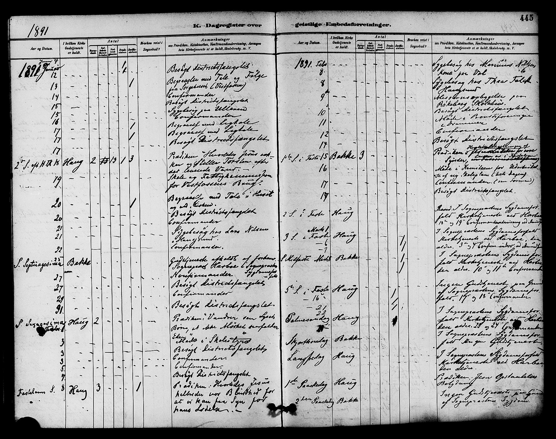 Eiker kirkebøker, AV/SAKO-A-4/F/Fb/L0002: Parish register (official) no. II 2, 1889-1896, p. 445