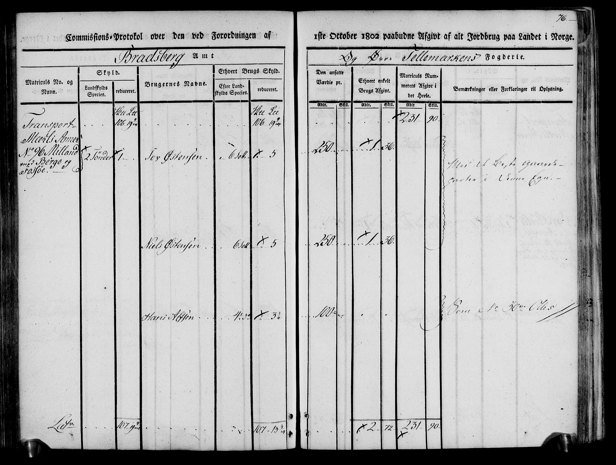 Rentekammeret inntil 1814, Realistisk ordnet avdeling, AV/RA-EA-4070/N/Ne/Nea/L0074: Øvre Telemarken fogderi. Kommisjonsprotokoll for fogderiets østre del - Tinn, Hjartdal og Seljord prestegjeld., 1803, p. 76