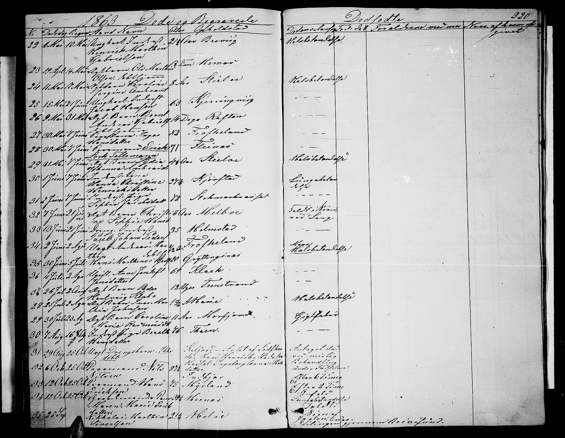 Ministerialprotokoller, klokkerbøker og fødselsregistre - Nordland, SAT/A-1459/888/L1265: Parish register (copy) no. 888C03, 1850-1863, p. 320