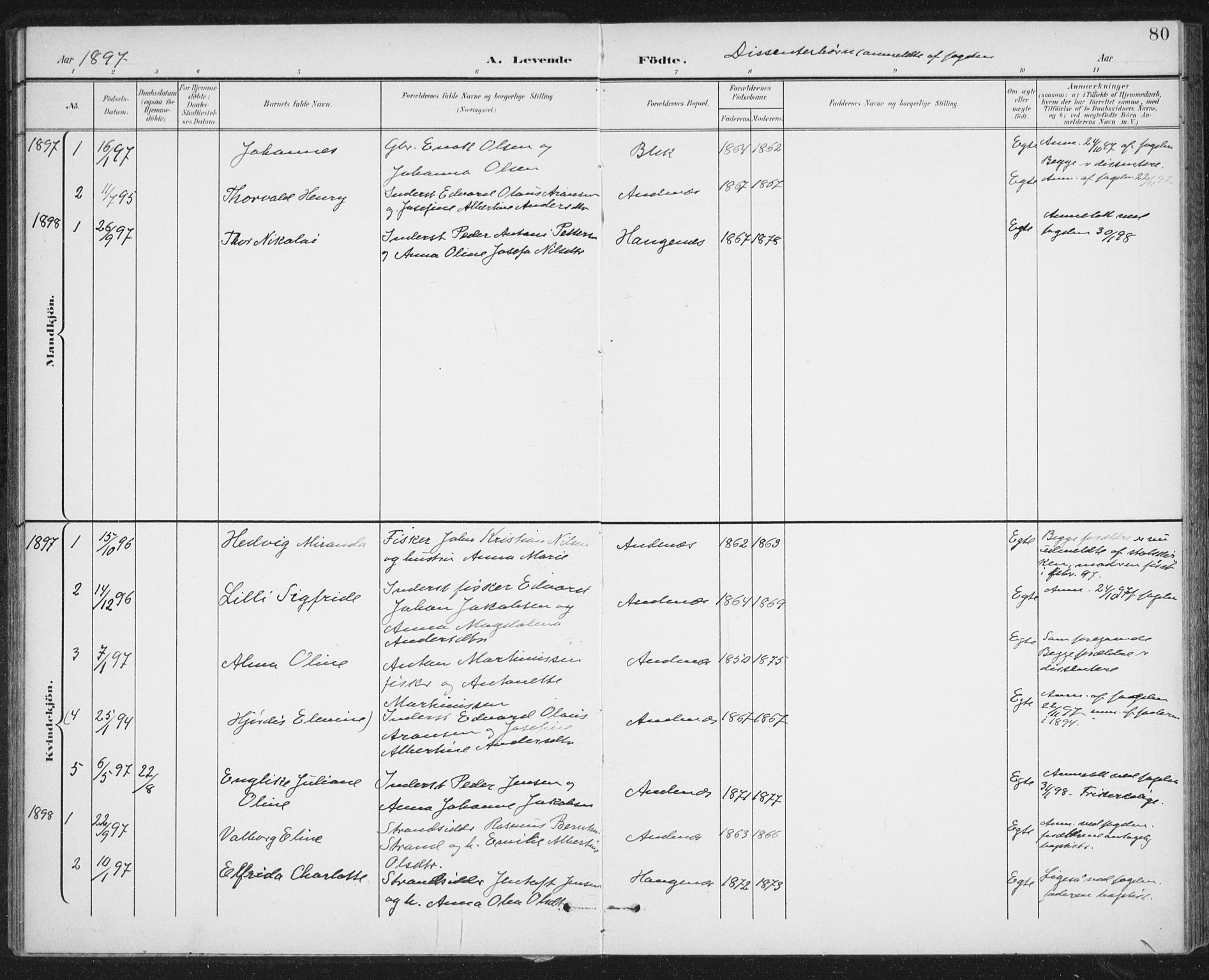 Ministerialprotokoller, klokkerbøker og fødselsregistre - Nordland, SAT/A-1459/899/L1437: Parish register (official) no. 899A05, 1897-1908, p. 80