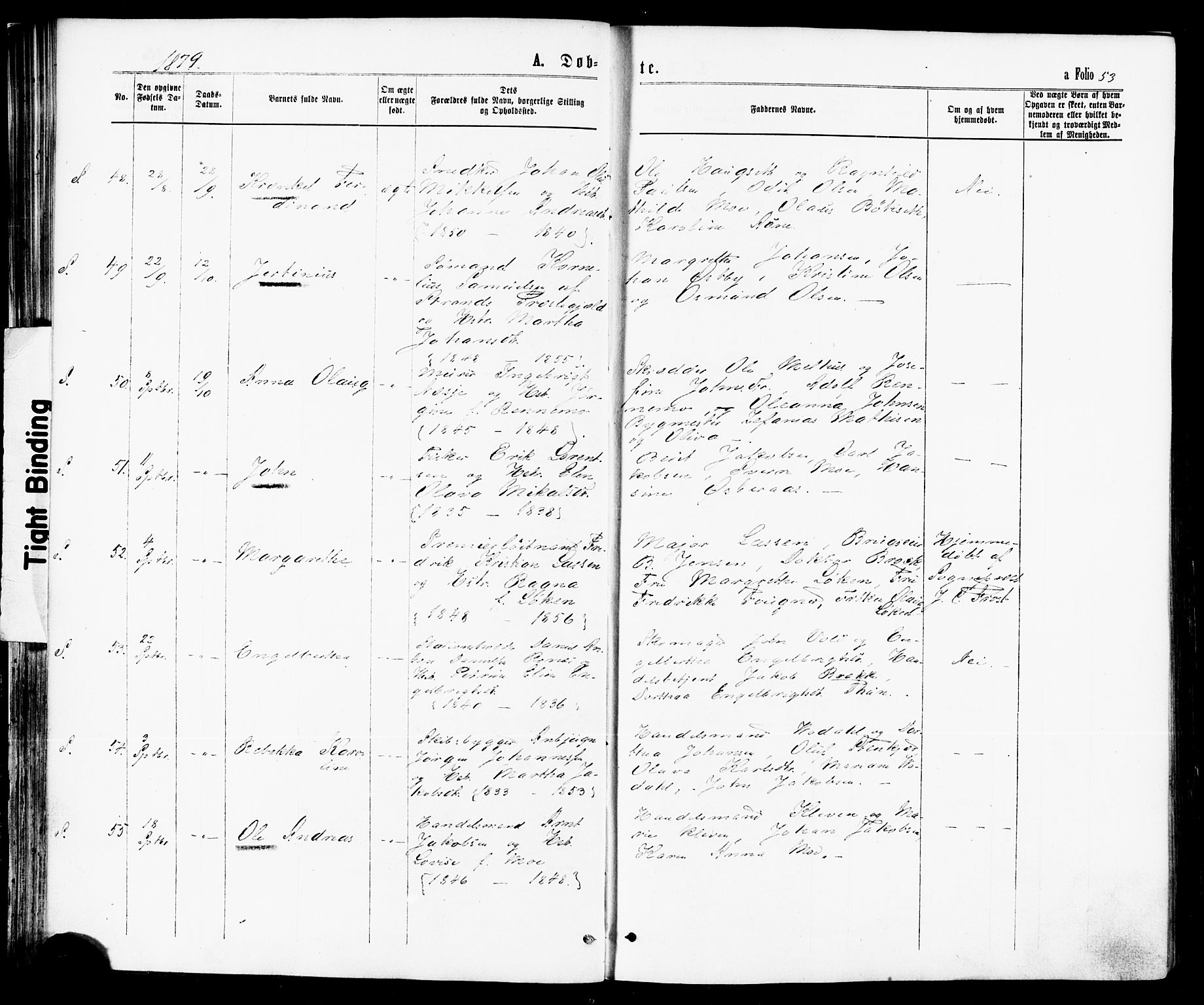 Ministerialprotokoller, klokkerbøker og fødselsregistre - Nord-Trøndelag, AV/SAT-A-1458/739/L0370: Parish register (official) no. 739A02, 1868-1881, p. 53