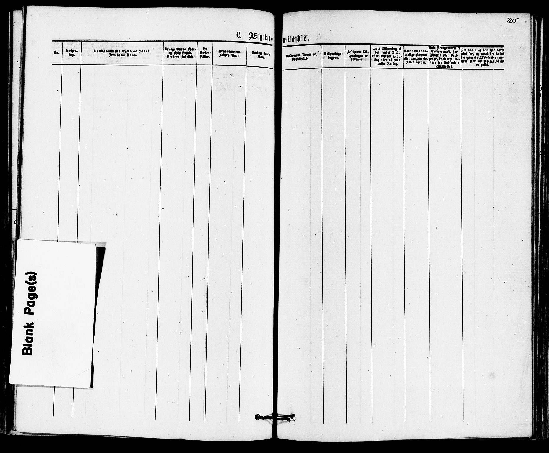 Sandefjord kirkebøker, AV/SAKO-A-315/F/Fa/L0001: Parish register (official) no. 1, 1873-1879, p. 205