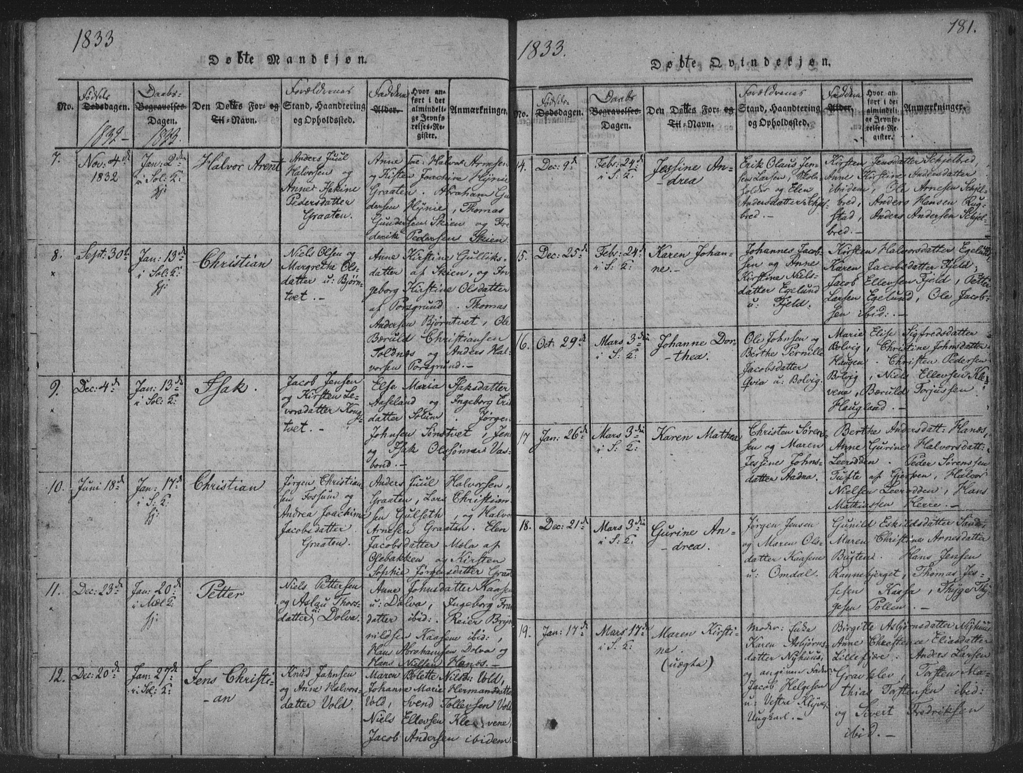 Solum kirkebøker, AV/SAKO-A-306/F/Fa/L0004: Parish register (official) no. I 4, 1814-1833, p. 181