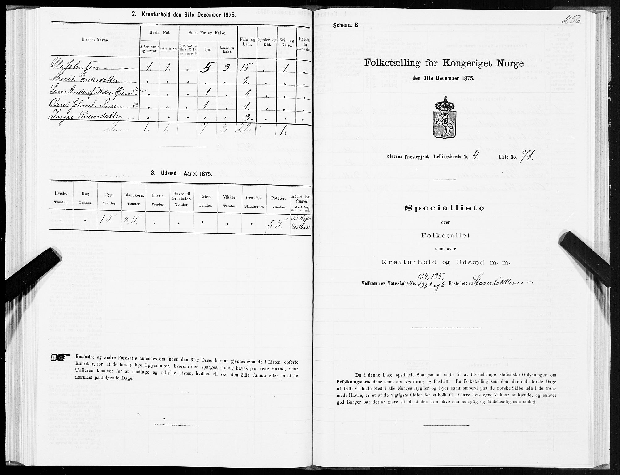 SAT, 1875 census for 1648P Støren, 1875, p. 8256