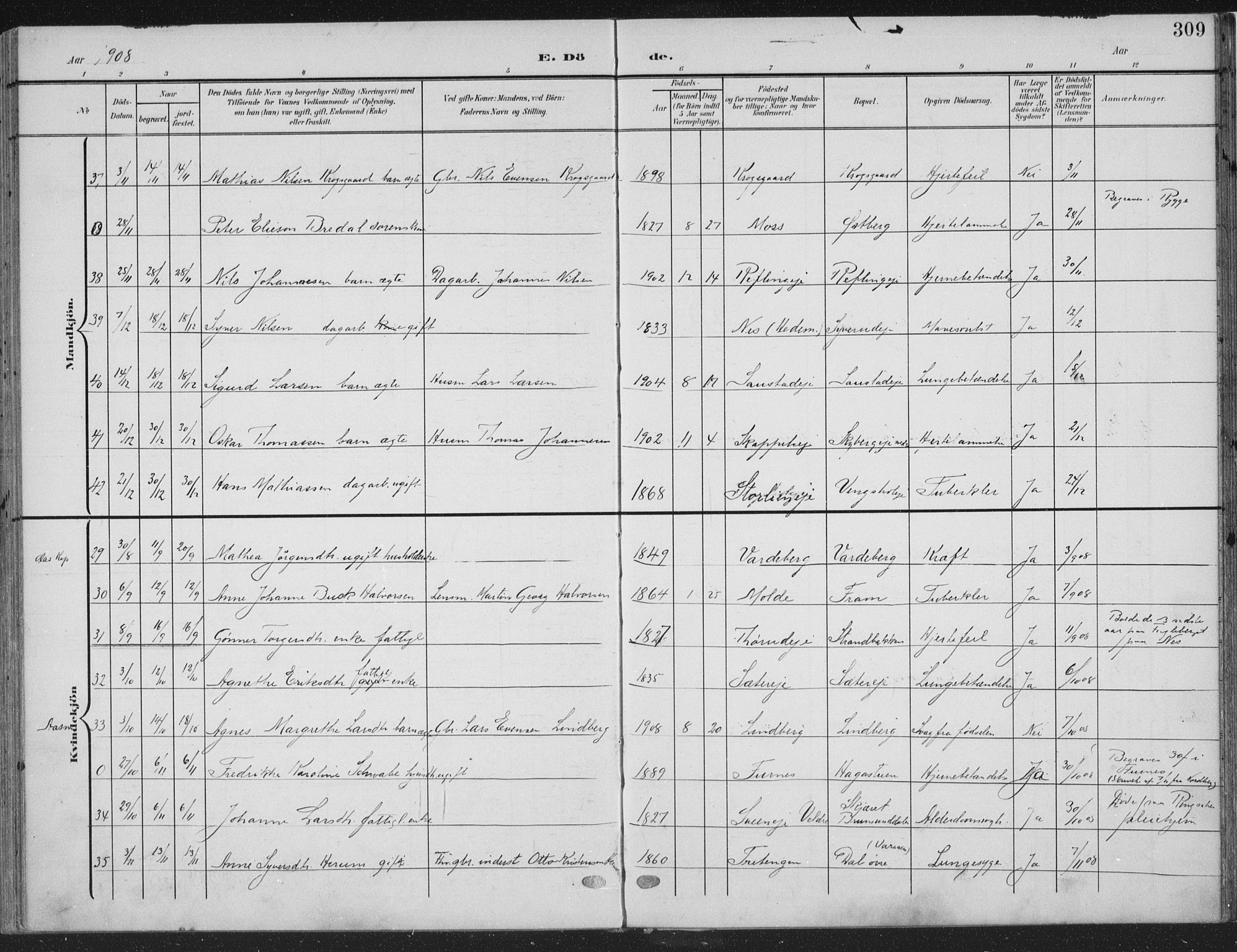 Ringsaker prestekontor, AV/SAH-PREST-014/K/Ka/L0018: Parish register (official) no. 18, 1903-1912, p. 309