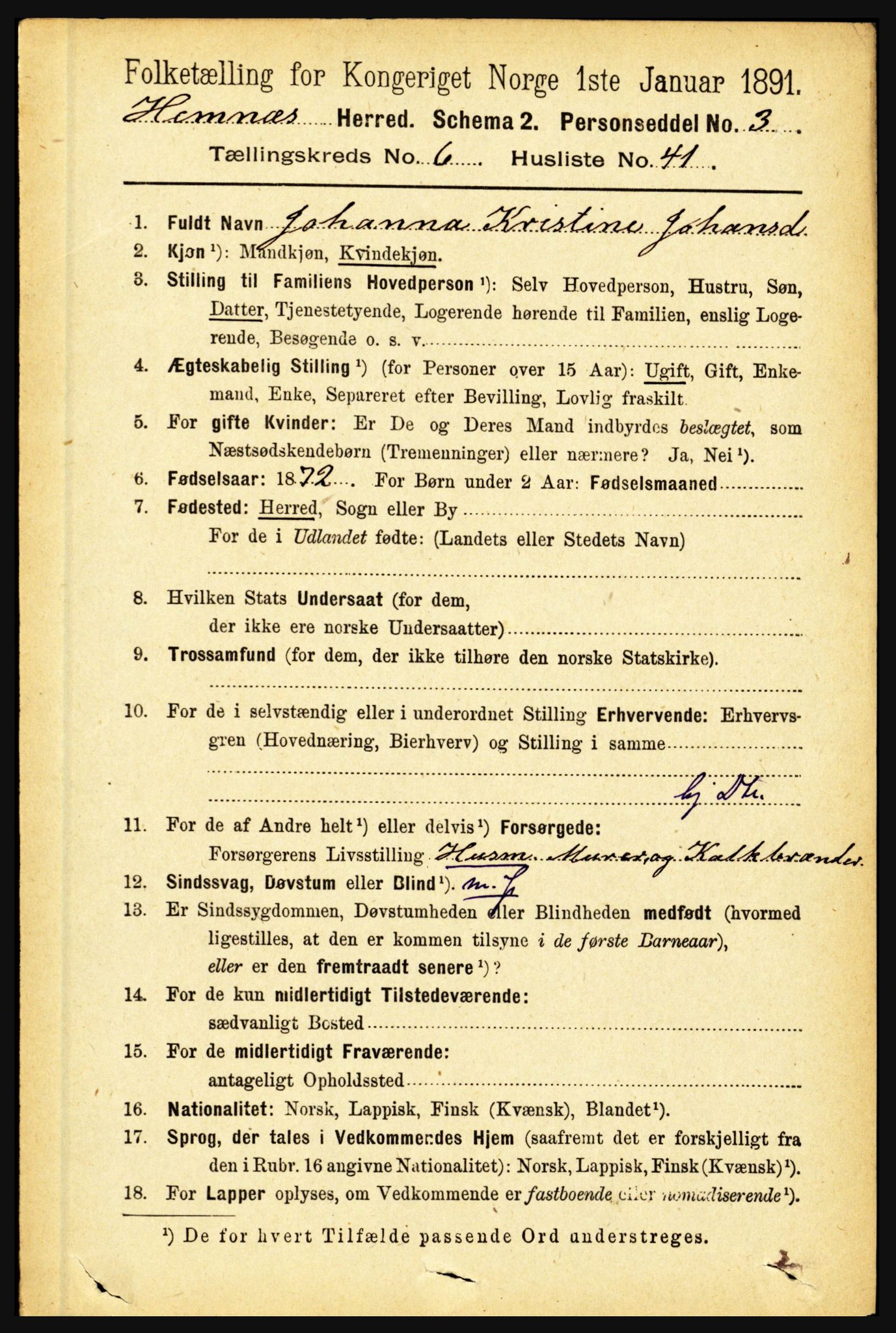 RA, 1891 census for 1832 Hemnes, 1891, p. 3197