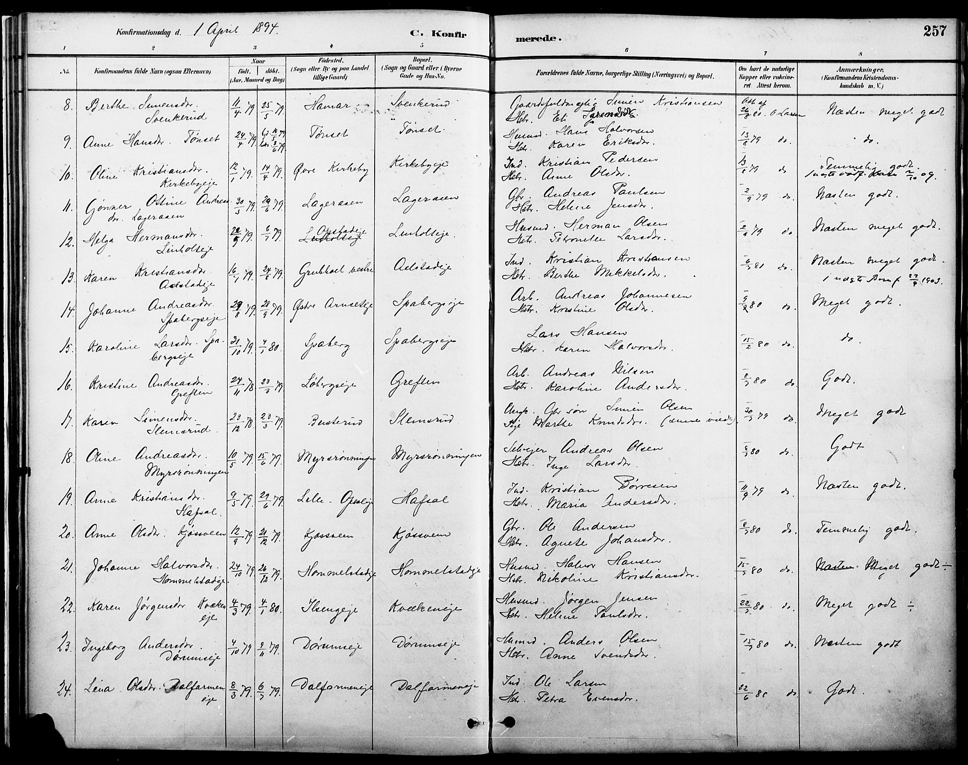 Vang prestekontor, Hedmark, AV/SAH-PREST-008/H/Ha/Haa/L0019A: Parish register (official) no. 19, 1886-1900, p. 257