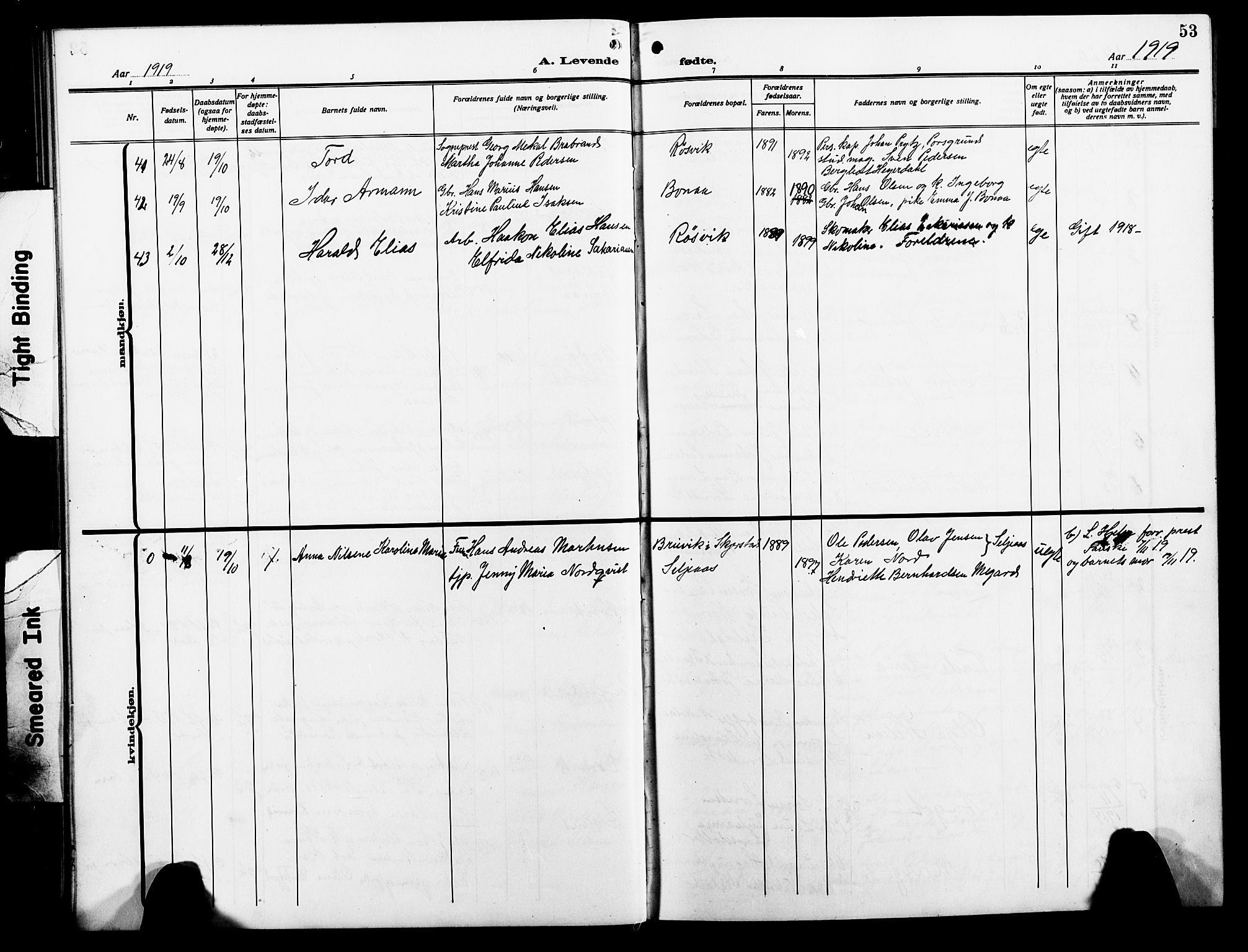 Ministerialprotokoller, klokkerbøker og fødselsregistre - Nordland, AV/SAT-A-1459/854/L0787: Parish register (copy) no. 854C03, 1913-1926, p. 53