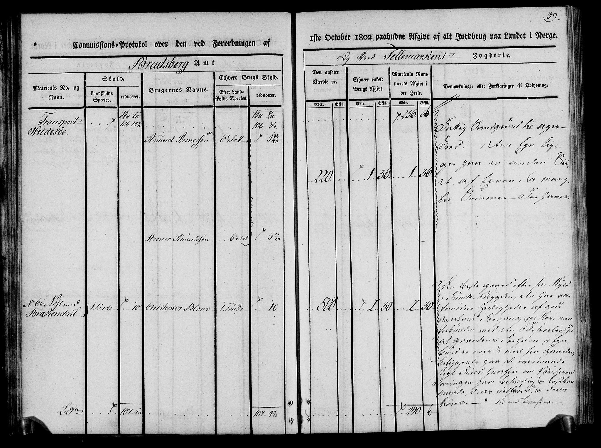 Rentekammeret inntil 1814, Realistisk ordnet avdeling, AV/RA-EA-4070/N/Ne/Nea/L0075: Øvre Telemarken fogderi. Kommisjonsprotokoll for fogderiets vestre del - Kviteseid, Vinje, Moland [):Fyresdal] og Lårdal prestegjeld., 1803, p. 39