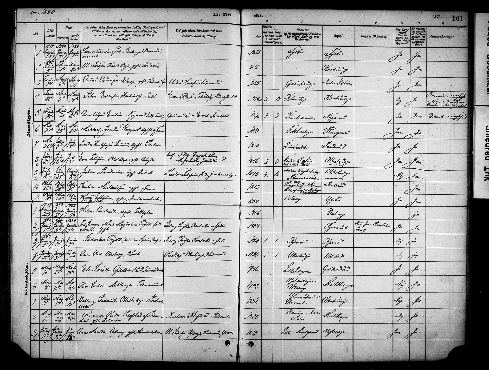 Stange prestekontor, AV/SAH-PREST-002/K/L0019: Parish register (official) no. 19, 1880-1891, p. 161