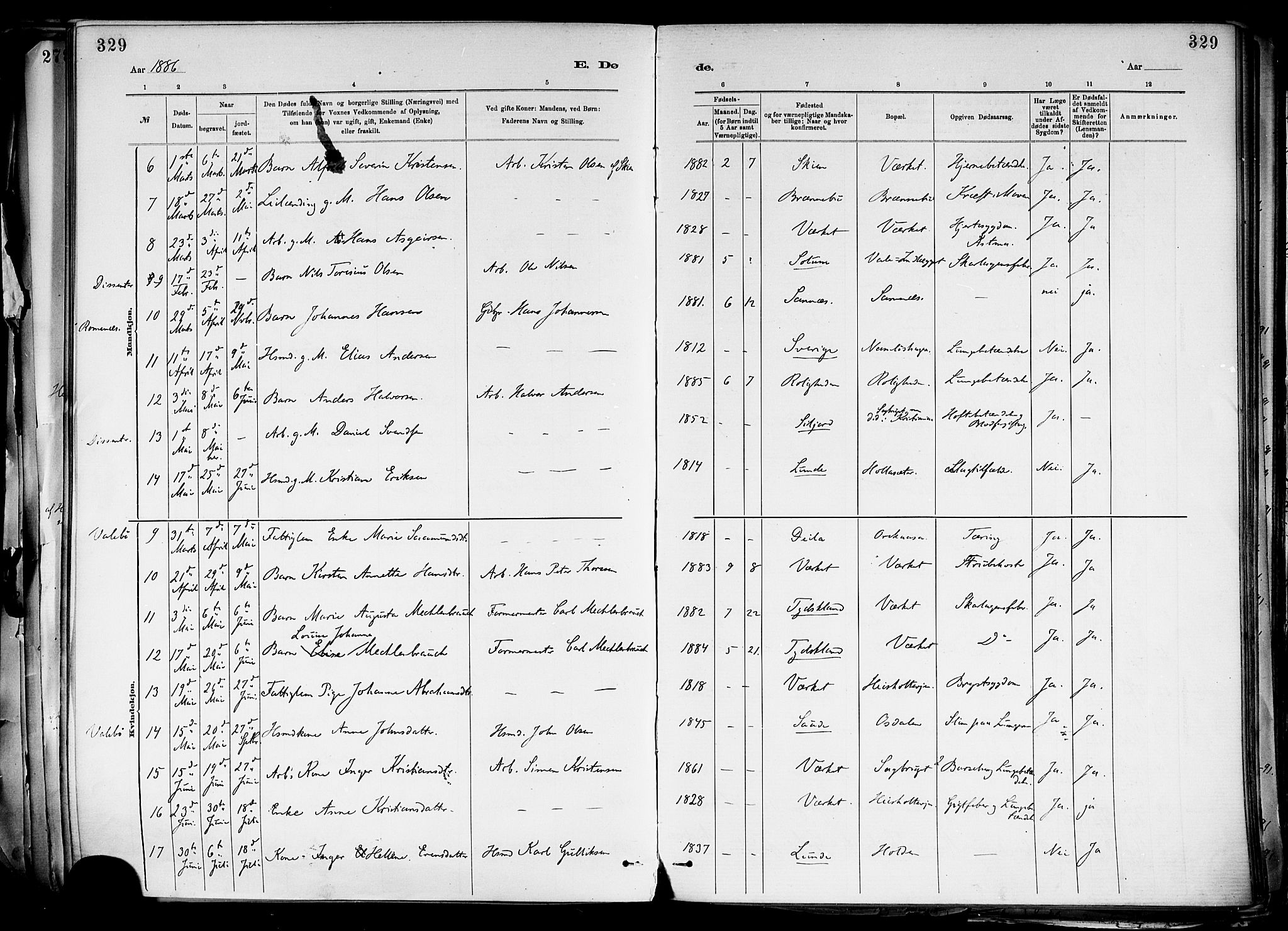 Holla kirkebøker, AV/SAKO-A-272/F/Fa/L0008: Parish register (official) no. 8, 1882-1897, p. 329