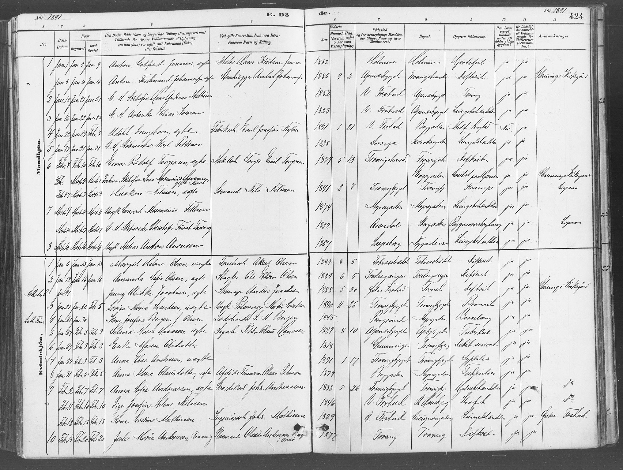 Fredrikstad domkirkes prestekontor Kirkebøker, SAO/A-10906/G/Ga/L0003: Parish register (copy) no. 3, 1880-1900, p. 424