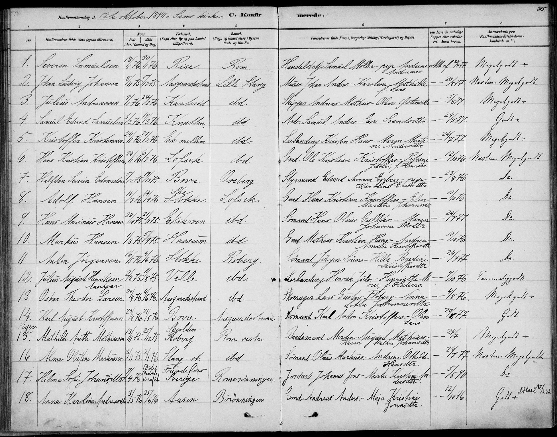 Sem kirkebøker, AV/SAKO-A-5/F/Fb/L0004: Parish register (official) no. II 4, 1878-1891, p. 215