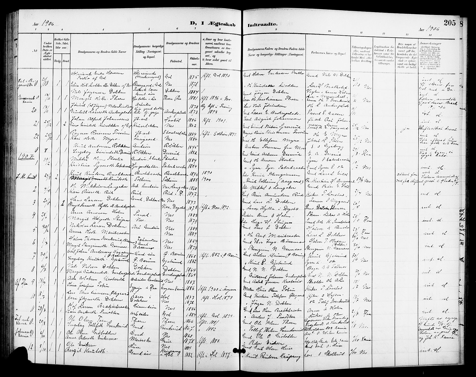 Nes kirkebøker, SAKO/A-236/G/Ga/L0004: Parish register (copy) no. I 4, 1900-1925, p. 205