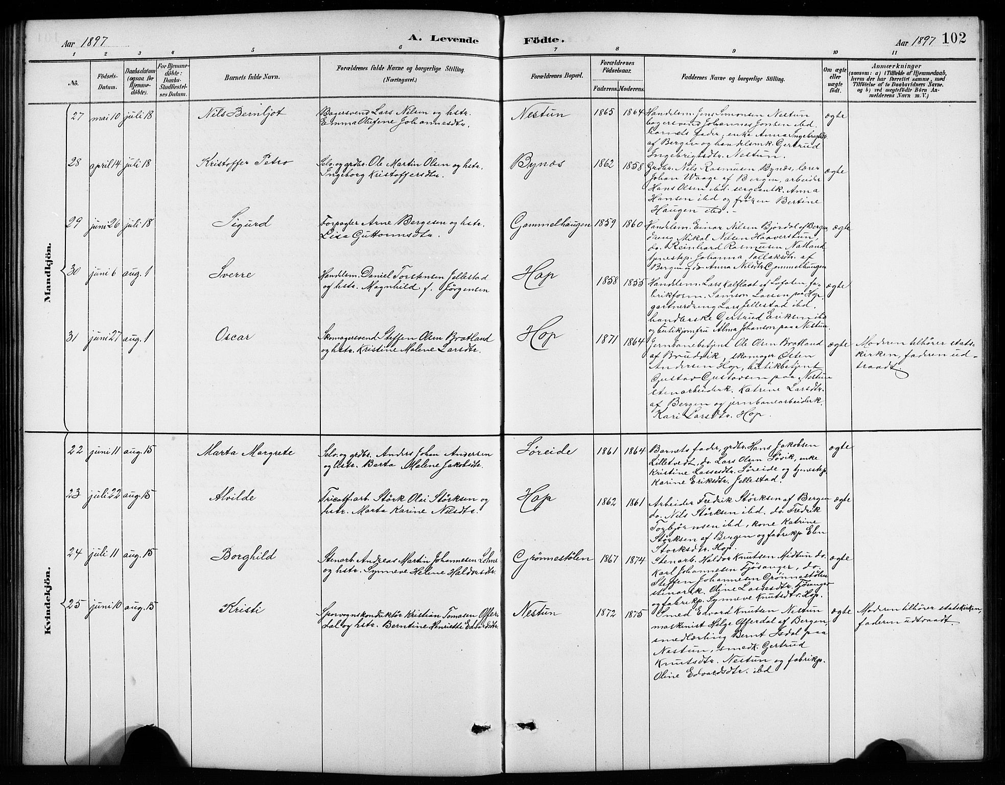 Birkeland Sokneprestembete, AV/SAB-A-74601/H/Hab: Parish register (copy) no. A 4, 1888-1897, p. 102