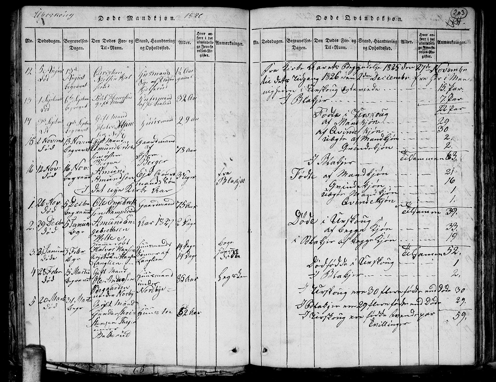 Aurskog prestekontor Kirkebøker, SAO/A-10304a/G/Ga/L0001: Parish register (copy) no. I 1, 1814-1829, p. 203