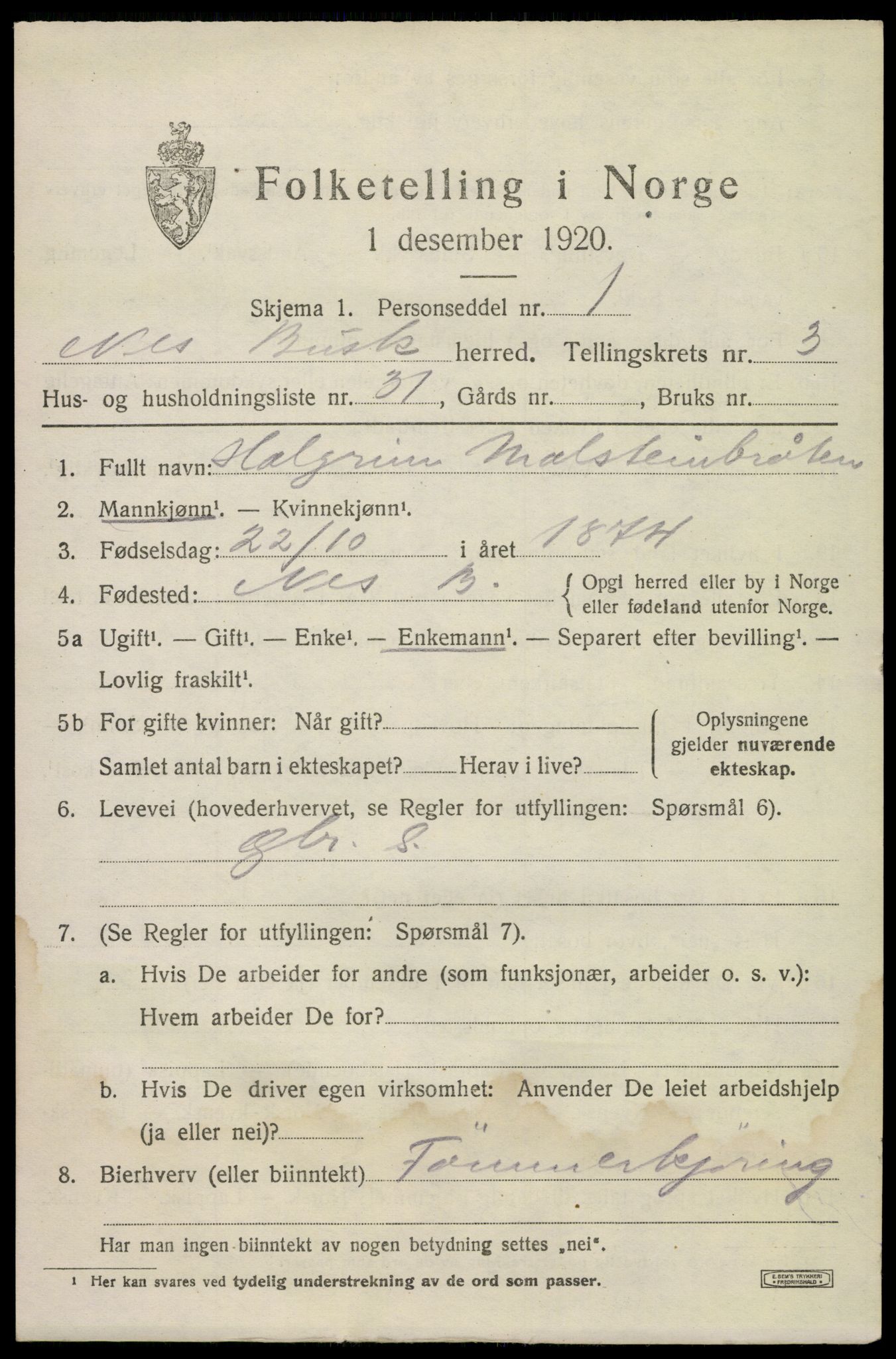 SAKO, 1920 census for Nes (Buskerud), 1920, p. 1918