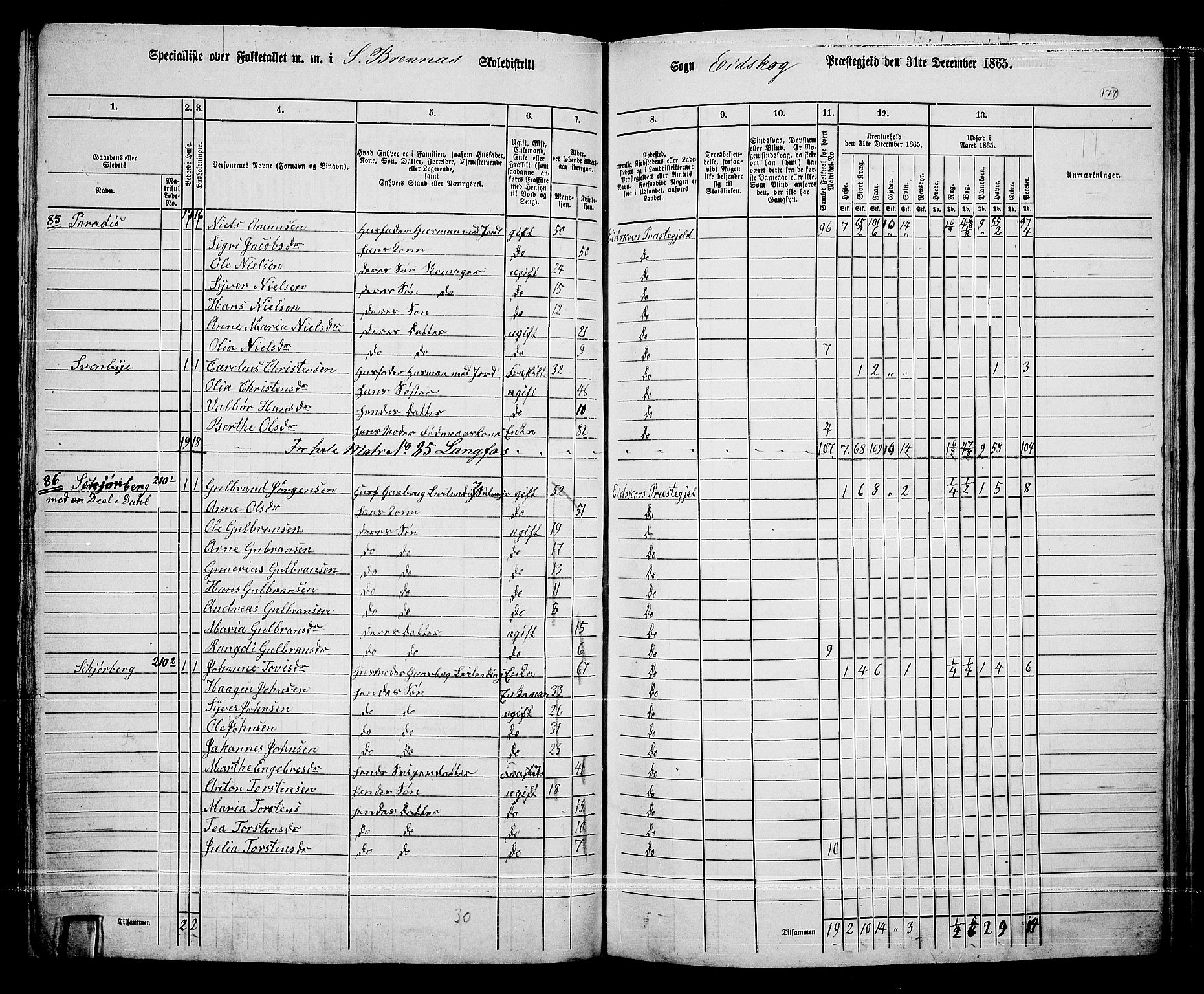 RA, 1865 census for Eidskog, 1865, p. 163