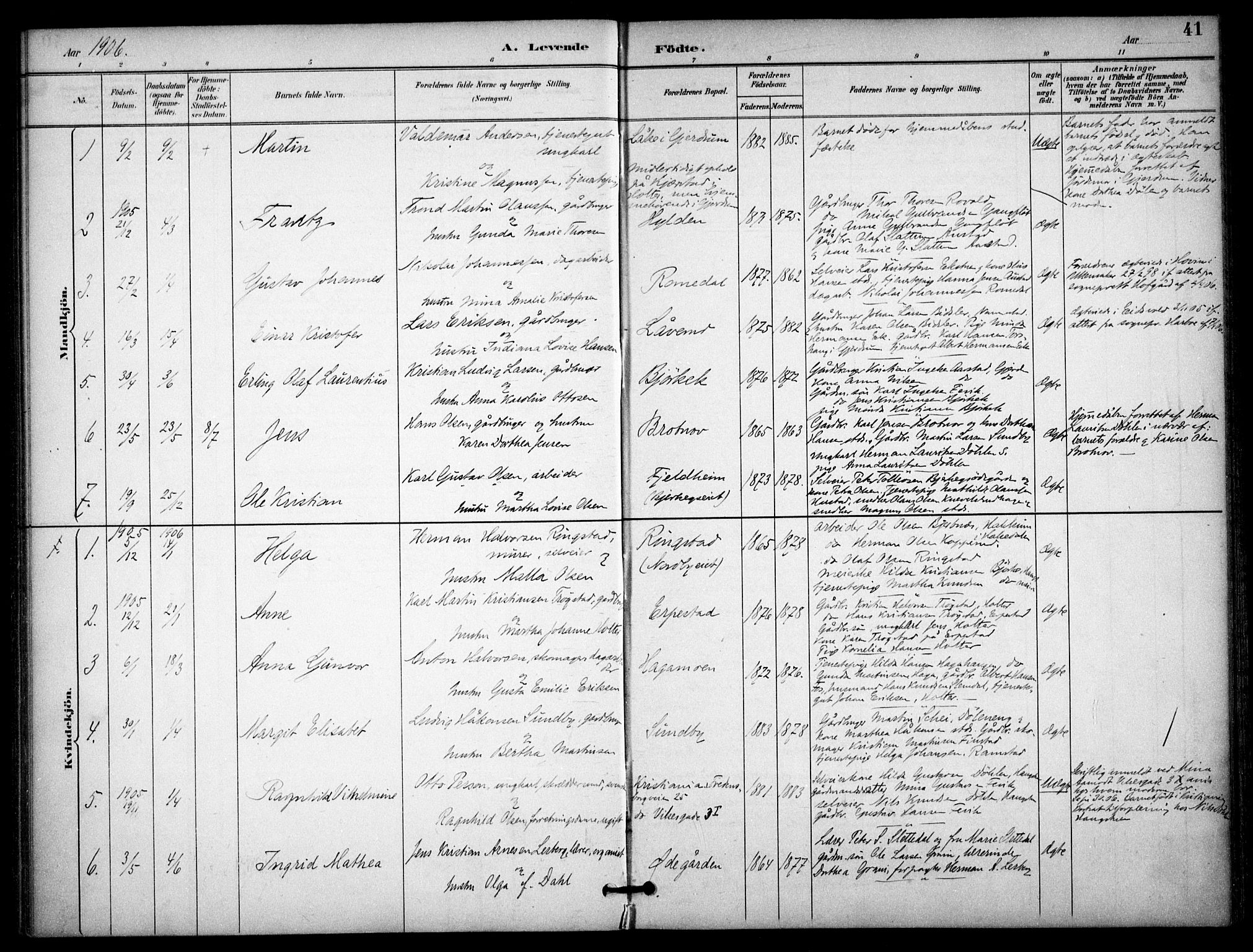 Nannestad prestekontor Kirkebøker, SAO/A-10414a/F/Fb/L0002: Parish register (official) no. II 2, 1891-1909, p. 41