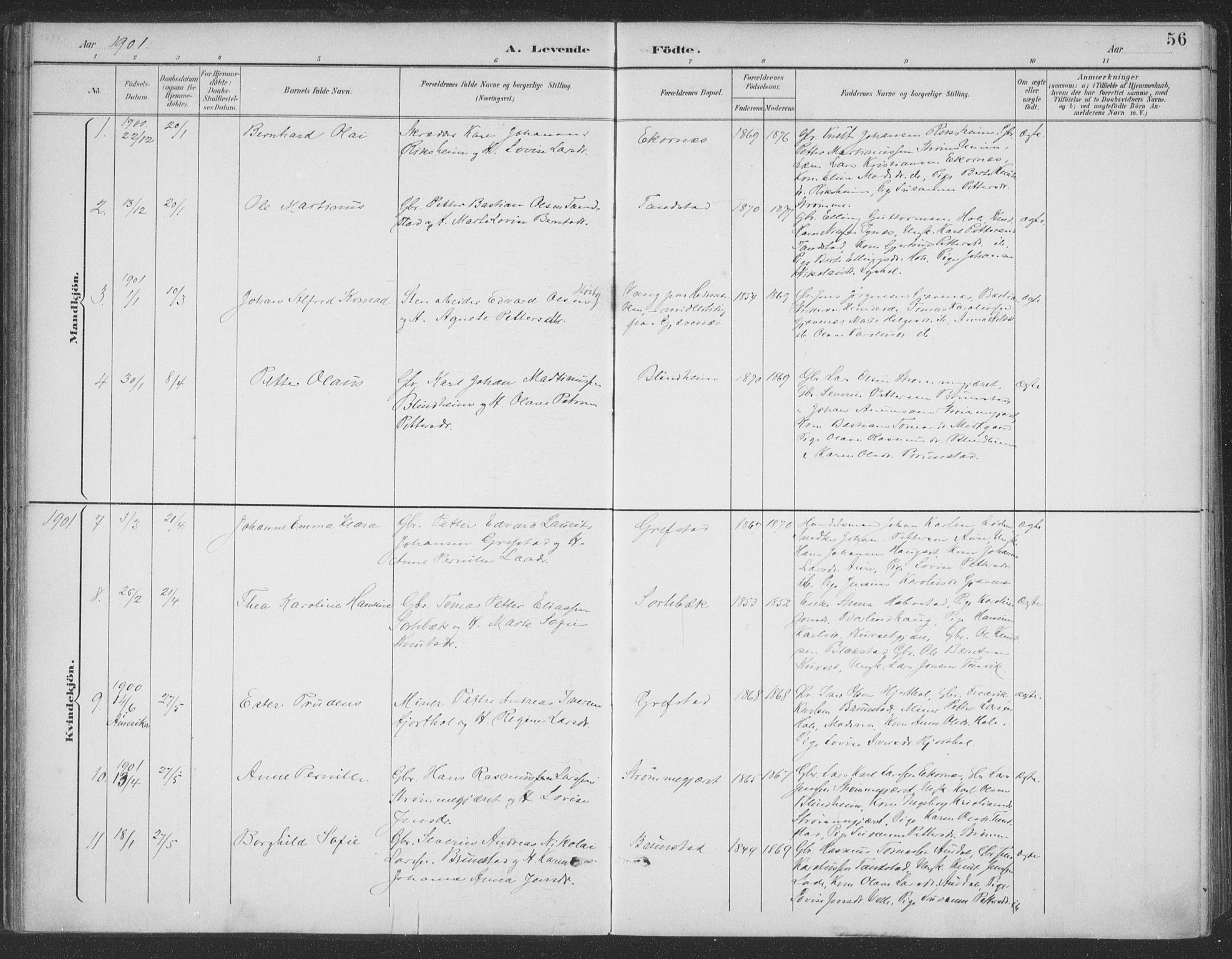 Ministerialprotokoller, klokkerbøker og fødselsregistre - Møre og Romsdal, AV/SAT-A-1454/523/L0335: Parish register (official) no. 523A02, 1891-1911, p. 56