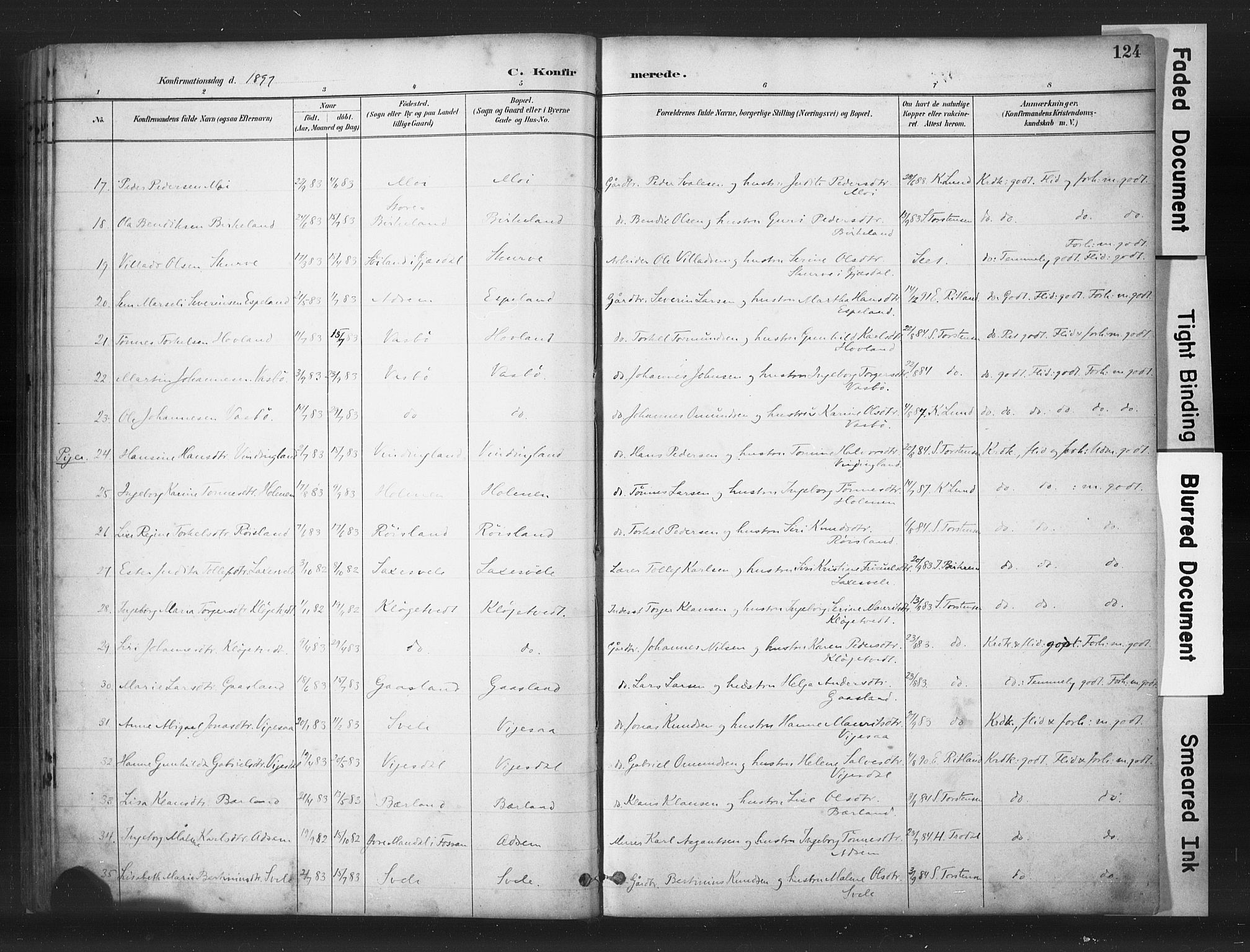 Helleland sokneprestkontor, AV/SAST-A-101810: Parish register (copy) no. B 5, 1887-1908, p. 124