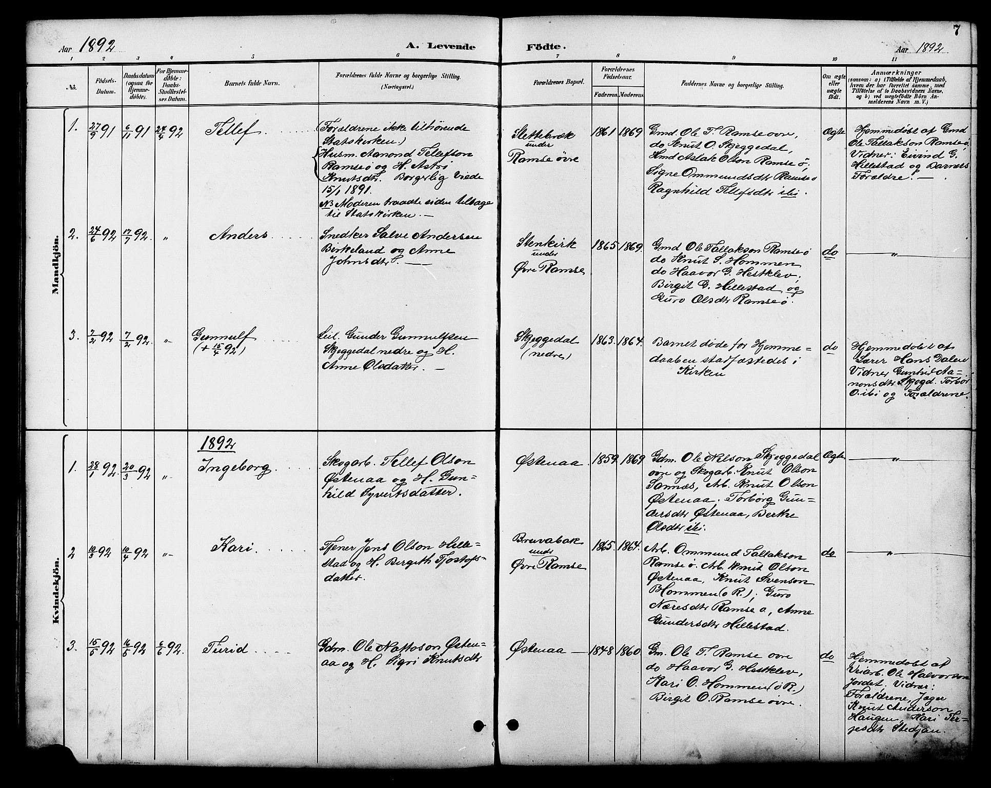 Åmli sokneprestkontor, AV/SAK-1111-0050/F/Fb/Fbb/L0002: Parish register (copy) no. B 2, 1890-1905, p. 7