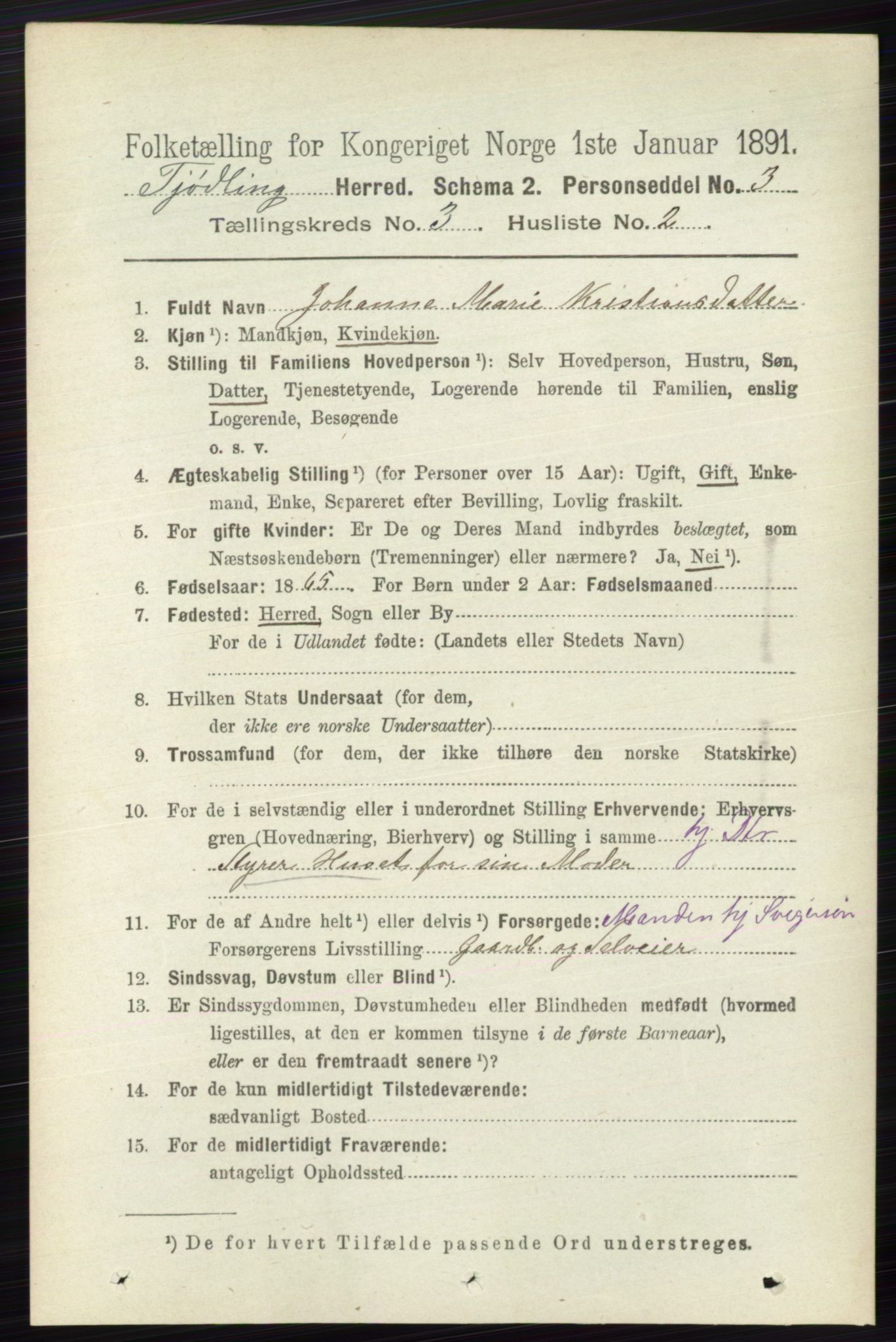 RA, 1891 census for 0725 Tjølling, 1891, p. 922