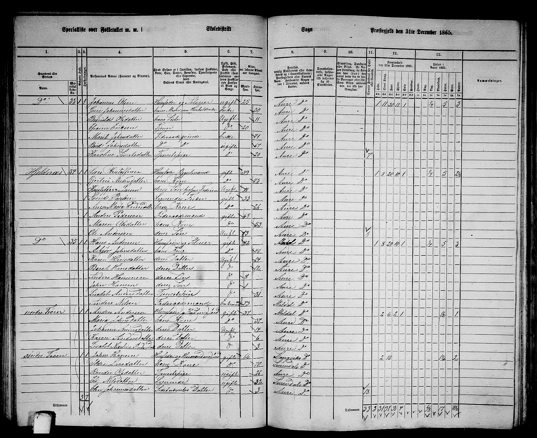 RA, 1865 census for Aure, 1865, p. 63