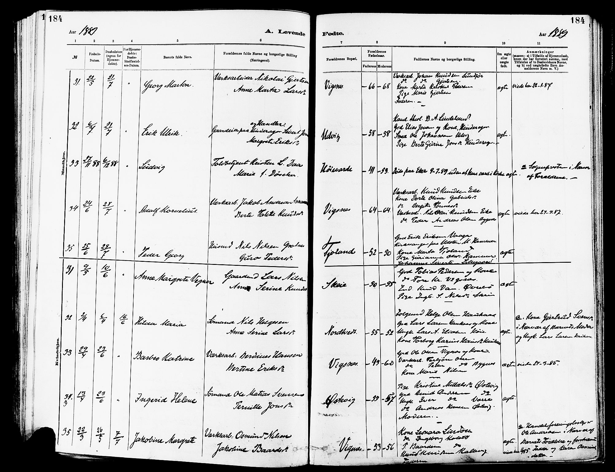 Avaldsnes sokneprestkontor, SAST/A -101851/H/Ha/Haa/L0014: Parish register (official) no. A 14, 1880-1889, p. 184