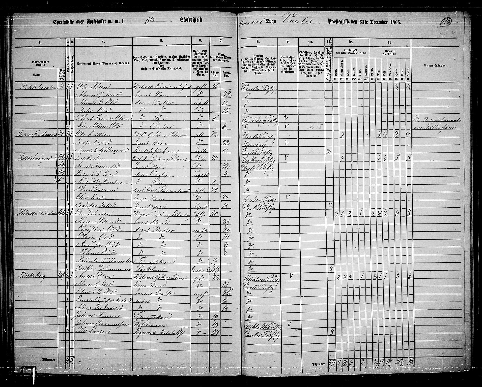 RA, 1865 census for Våler, 1865, p. 102